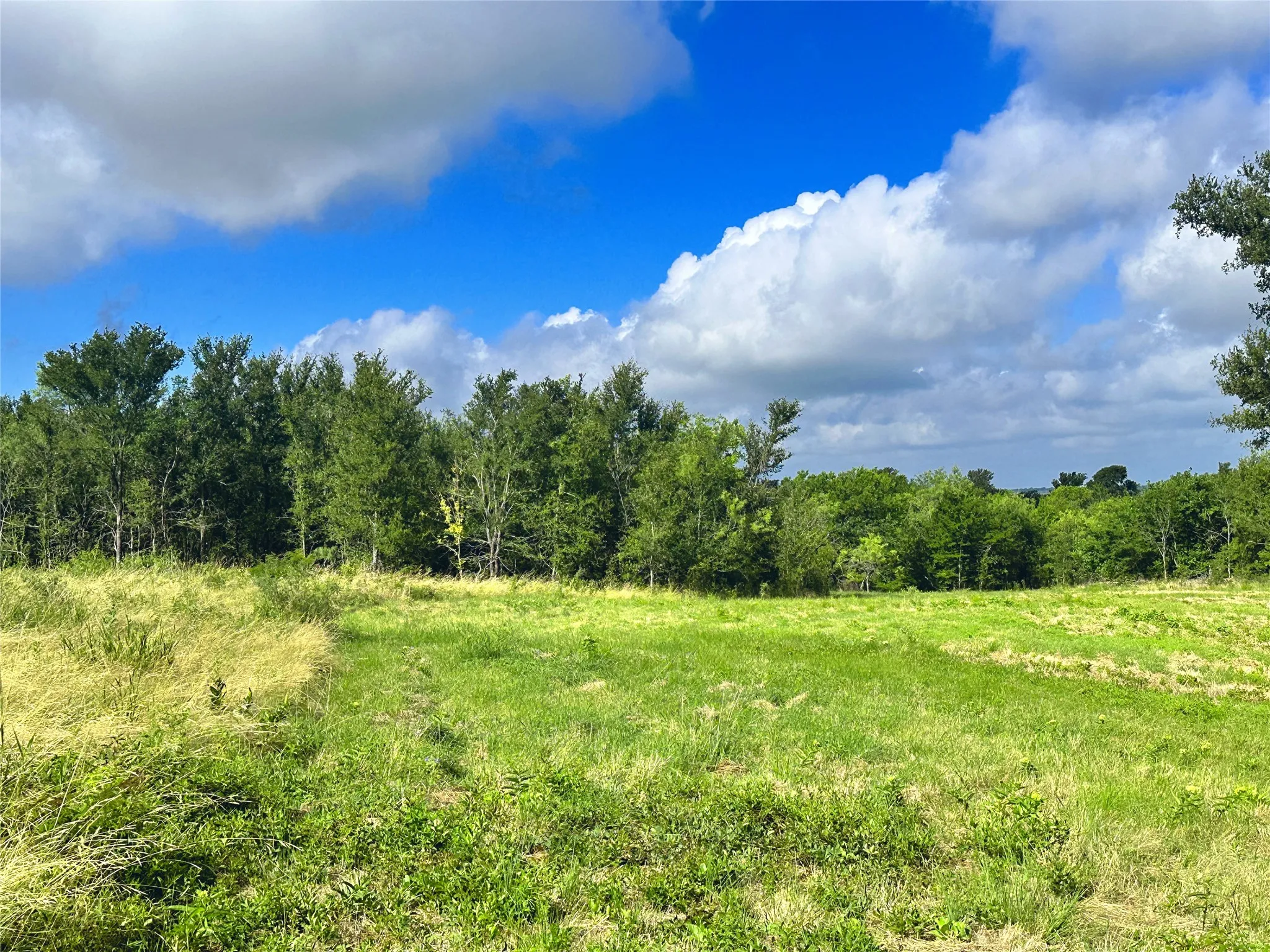 Unimproved Land For Sale in Navarro County , Lot 62 & BS #20 Sunset Court, Corsicana, Texas 75109, 0, 0, Garage spaces, 0 Sqft, built in 0, Price $119,900, mls#20596958, Real Estate Agent in Corsicana, Homes For Sale in Navarro county, Homes For Sale in Corsicana, Realtor in Corsicana Texas, Real Estate Brokerage Independent Realty Texas, Luminita Cordes Realtor