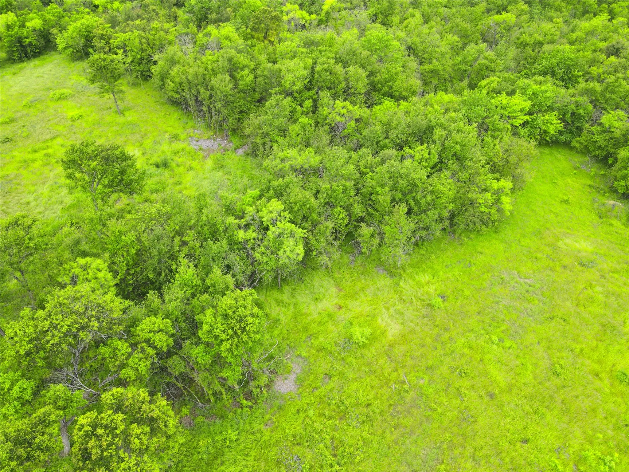 Unimproved Land For Sale in Navarro County , Lot 62 & BS #20 Sunset Court, Corsicana, Texas 75109, 0, 0, Garage spaces, 0 Sqft, built in 0, Price $119,900, mls#20596958, Real Estate Agent in Corsicana, Homes For Sale in Navarro county, Homes For Sale in Corsicana, Realtor in Corsicana Texas, Real Estate Brokerage Independent Realty Texas, Luminita Cordes Realtor