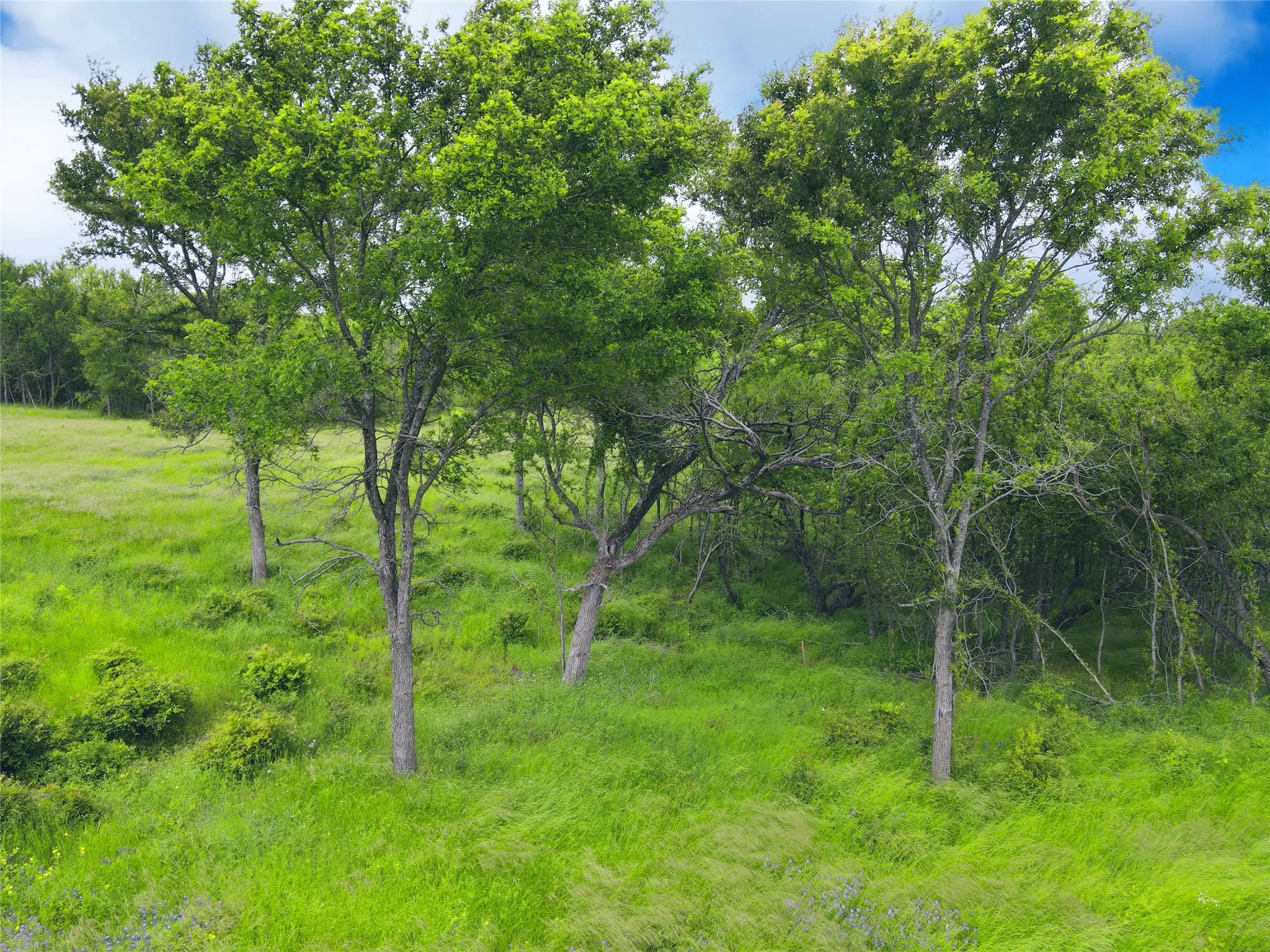 Unimproved Land For Sale in Navarro County , Lot 62 & BS #20 Sunset Court, Corsicana, Texas 75109, 0, 0, Garage spaces, 0 Sqft, built in 0, Price $119,900, mls#20596958, Real Estate Agent in Corsicana, Homes For Sale in Navarro county, Homes For Sale in Corsicana, Realtor in Corsicana Texas, Real Estate Brokerage Independent Realty Texas, Luminita Cordes Realtor