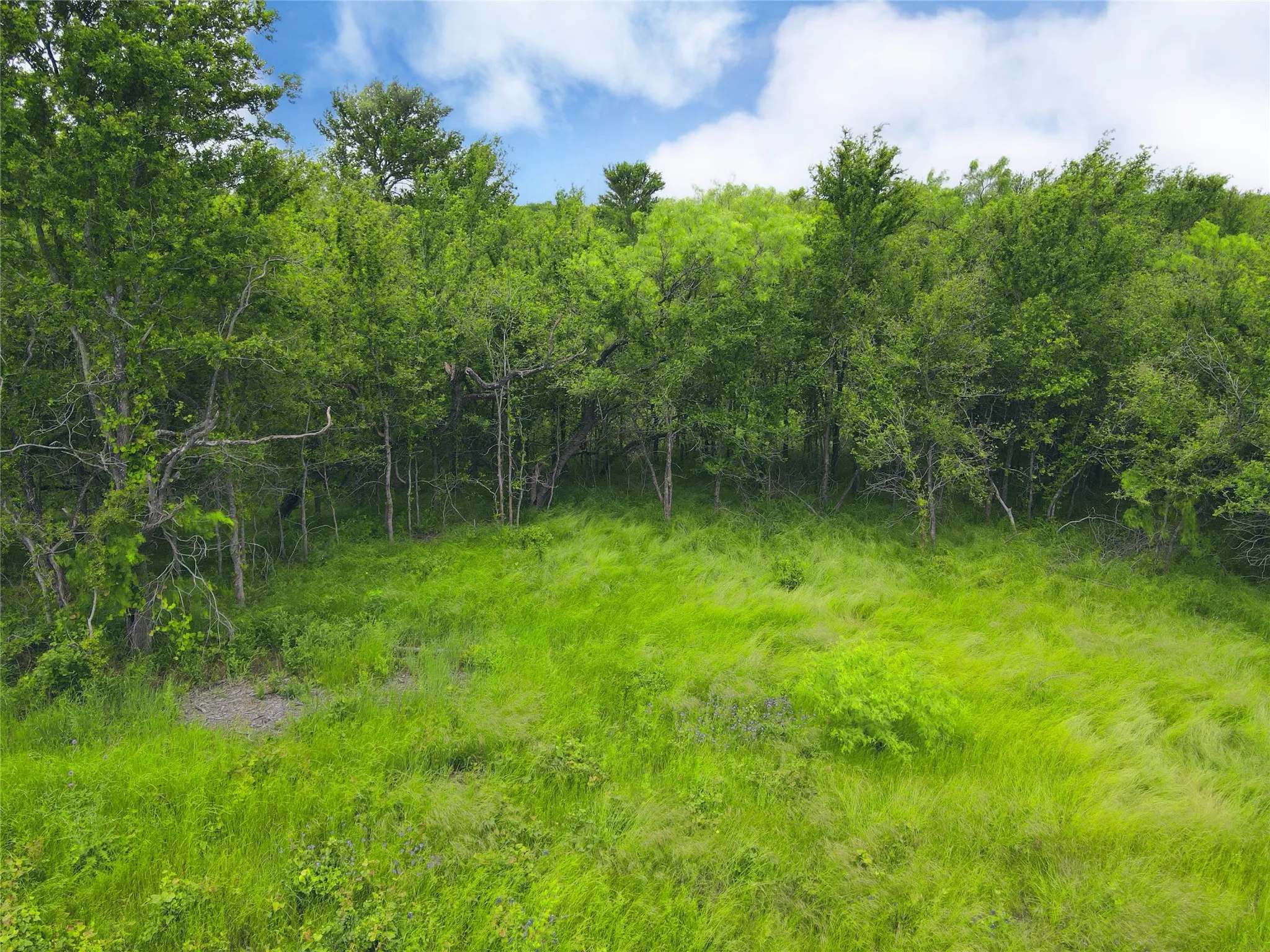 Unimproved Land For Sale in Navarro County , Lot 62 & BS #20 Sunset Court, Corsicana, Texas 75109, 0, 0, Garage spaces, 0 Sqft, built in 0, Price $119,900, mls#20596958, Real Estate Agent in Corsicana, Homes For Sale in Navarro county, Homes For Sale in Corsicana, Realtor in Corsicana Texas, Real Estate Brokerage Independent Realty Texas, Luminita Cordes Realtor