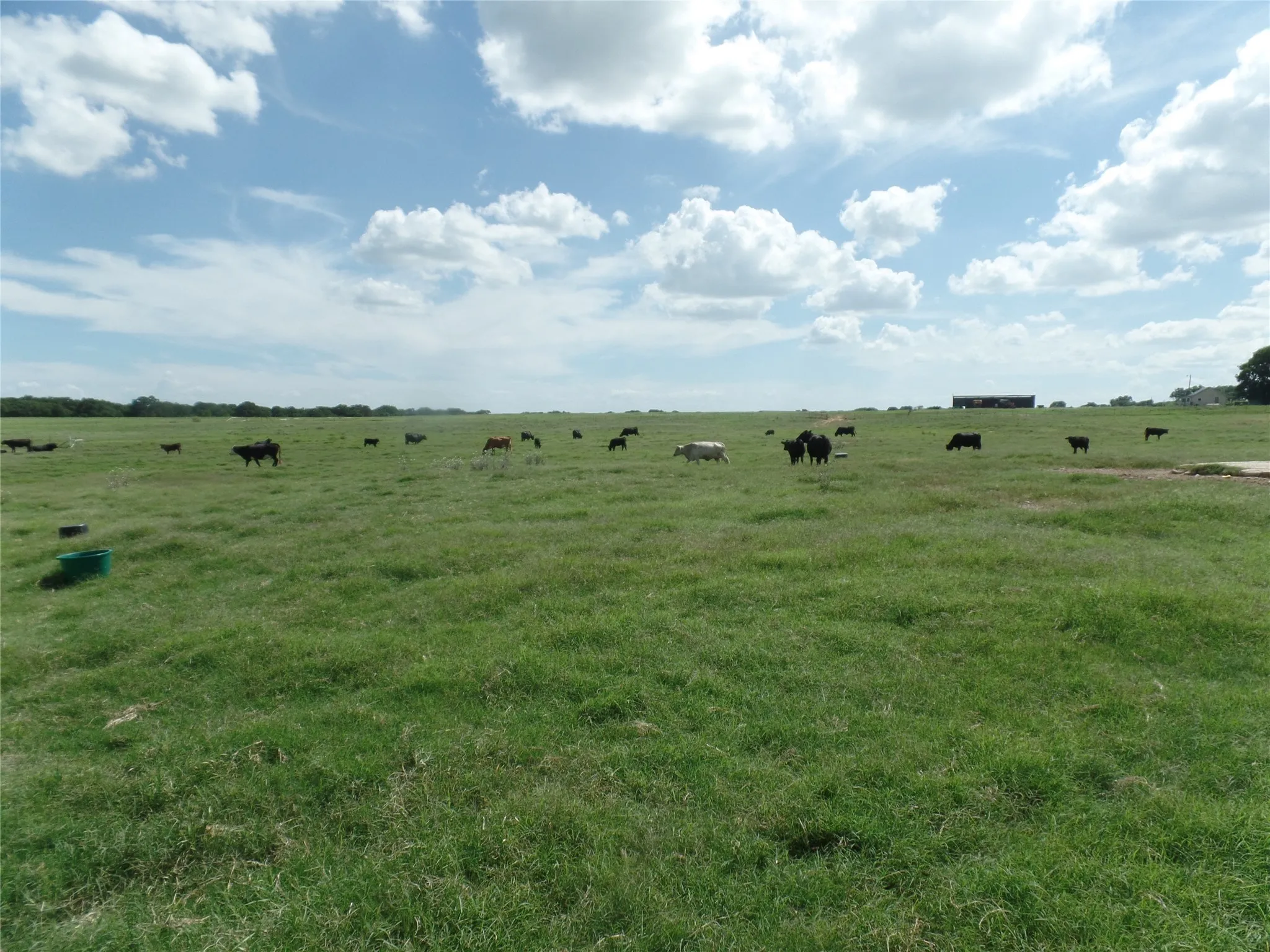 View of local wilderness featuring a rural view