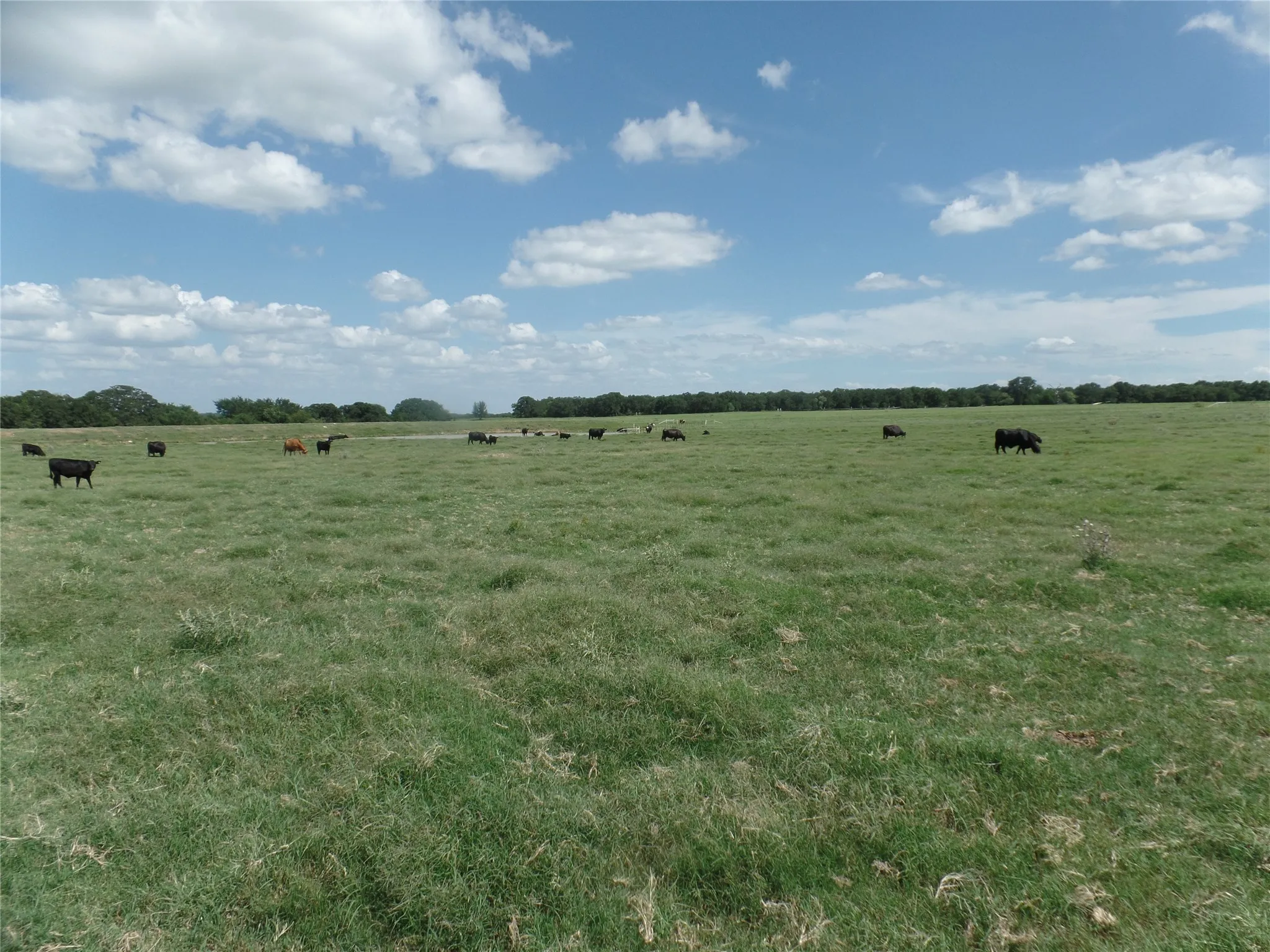 Improved Land For Sale in Erath County , TBD FM 3025, Stephenville, Texas 76401, 0, 0, Garage spaces, 0 Sqft, built in 0, mls#20600023, Real Estate Agent in Stephenville, Homes For Sale in Erath county, Homes For Sale in Stephenville, Realtor in Stephenville Texas, Real Estate Brokerage Independent Realty Texas, Luminita Cordes Realtor