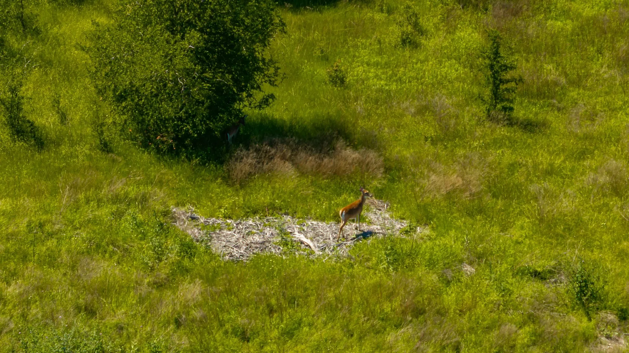 View of nature