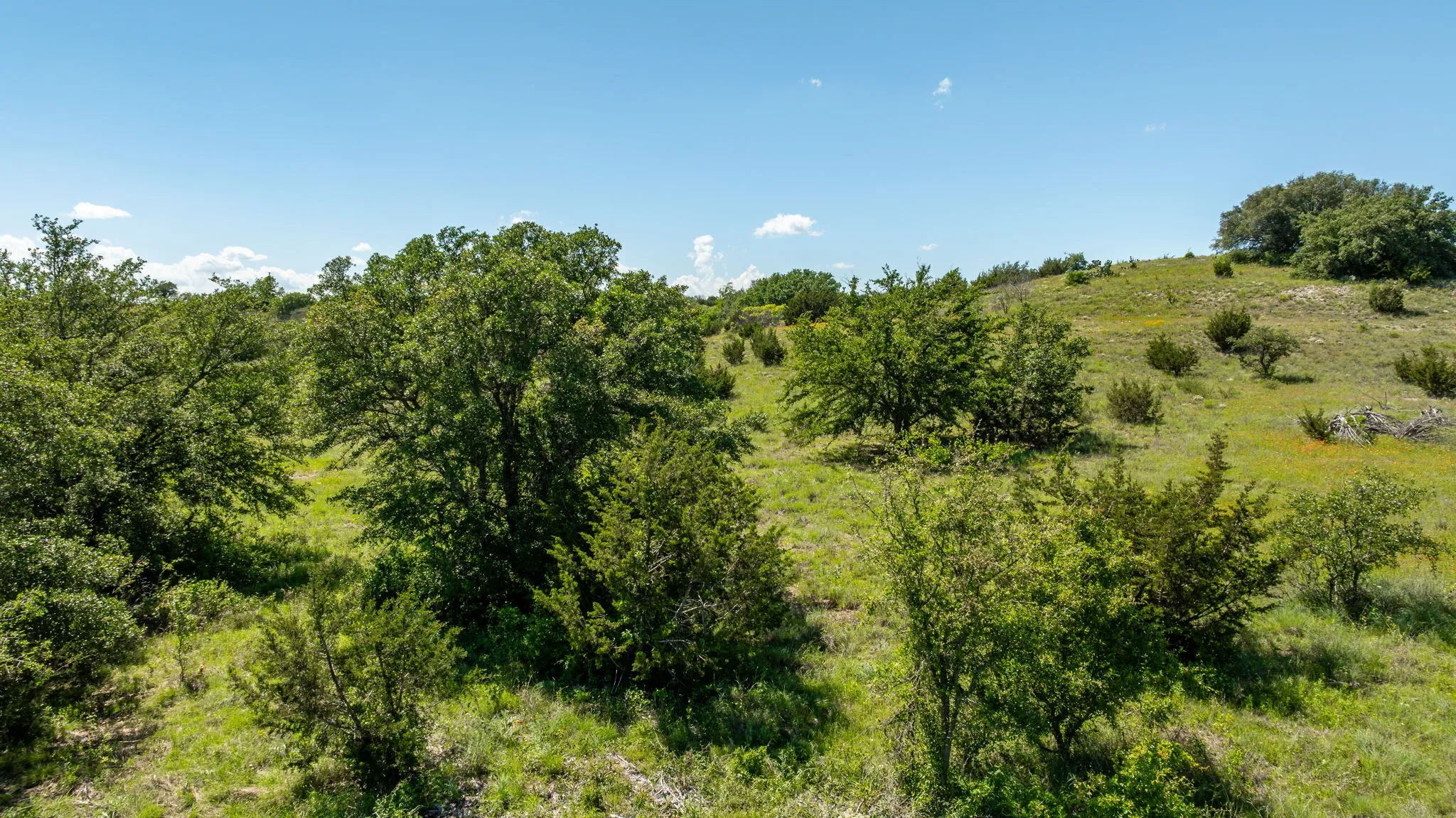 Unimproved Land For Sale in Somervell County , 1510 Hidden Oaks Trail, Glen Rose, Texas 76043, 0, 0, Garage spaces, 0 Sqft, built in 0, mls#20601261, Real Estate Agent in Glen Rose, Homes For Sale in Somervell county, Homes For Sale in Glen Rose, Realtor in Glen Rose Texas, Real Estate Brokerage Independent Realty Texas, Luminita Cordes Realtor