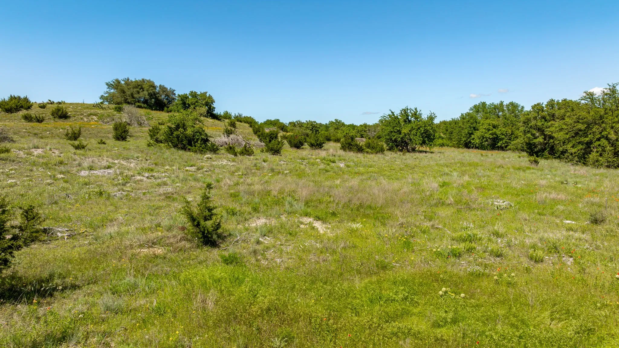 View of local wilderness with a rural view