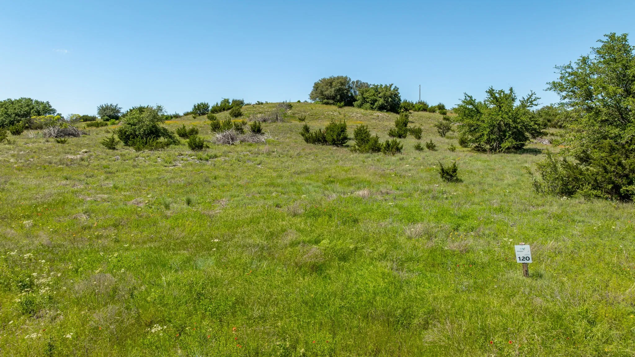 View of local wilderness with a rural view