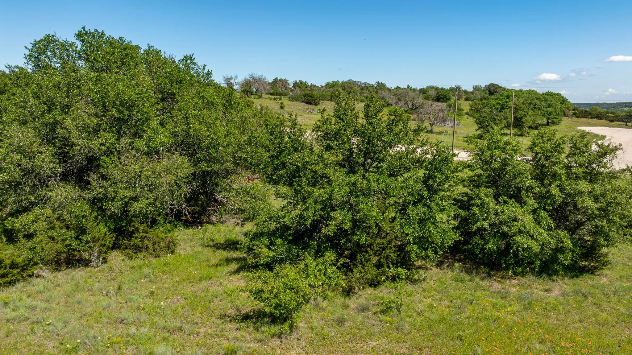 View of nature