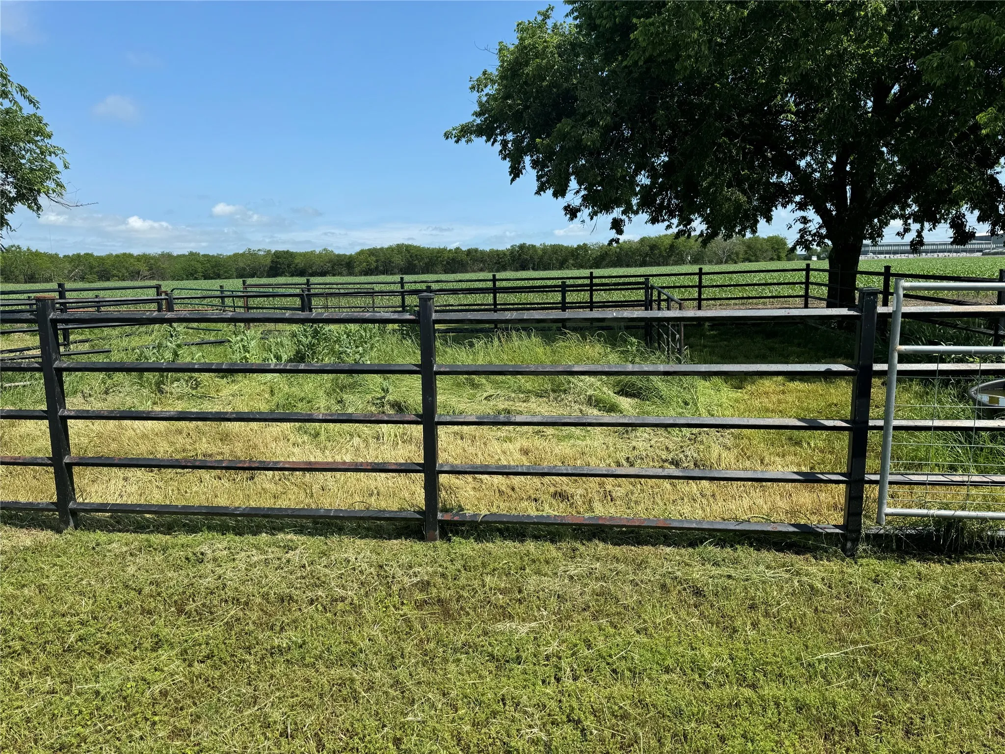 View of gate with a yard and a rural view