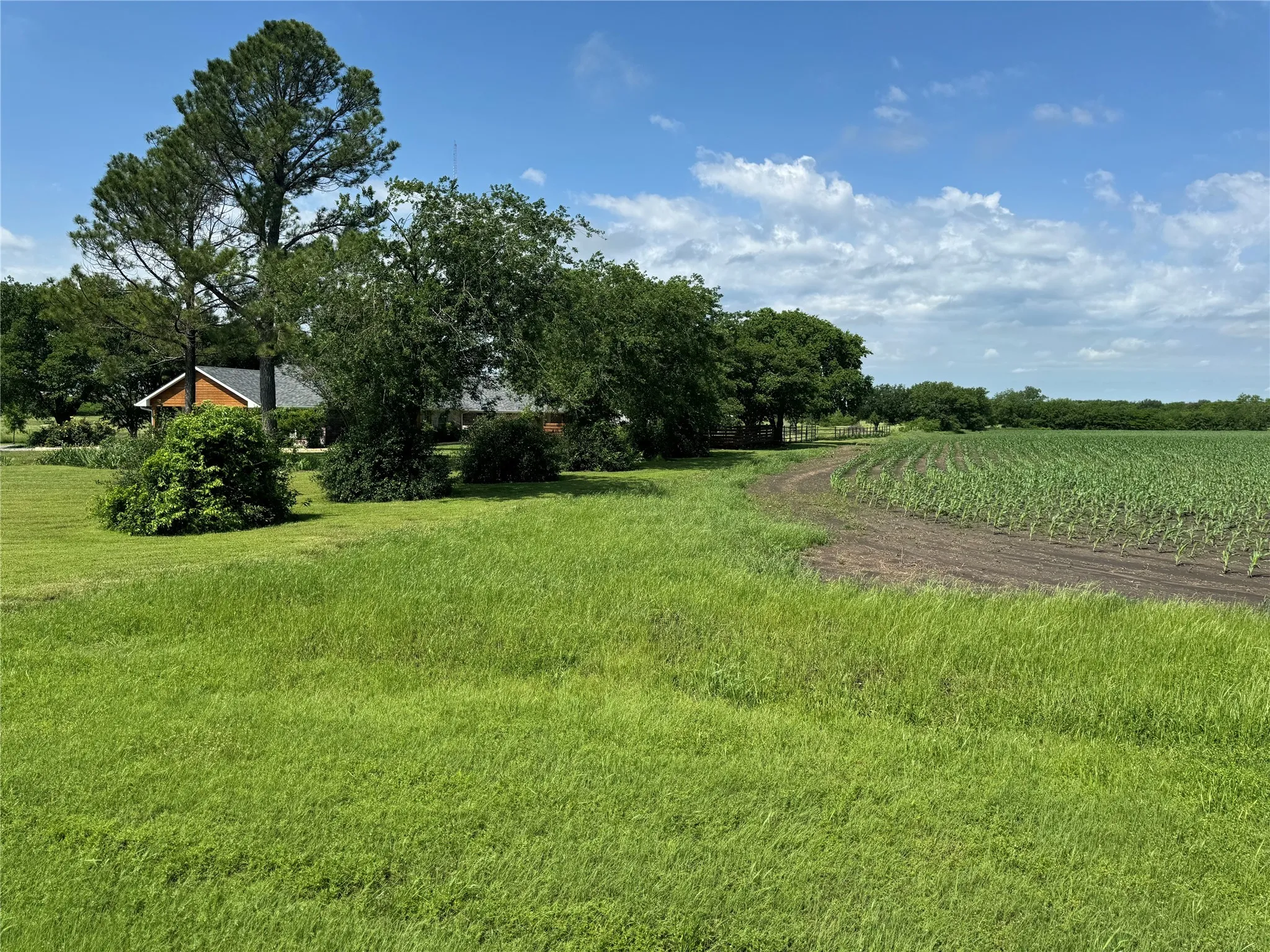 View of yard with a rural view