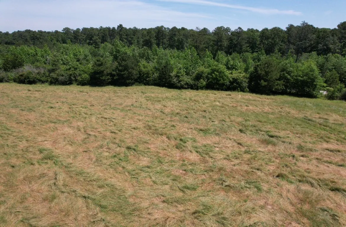 Unimproved Land For Sale in Panola County , TBD County Road 432, Tenaha, Texas 75974, 0, 0, Garage spaces, 0 Sqft, built in 0, mls#20610723, Real Estate Agent in Tenaha, Homes For Sale in Panola county, Homes For Sale in Tenaha, Realtor in Tenaha Texas, Real Estate Brokerage Independent Realty Texas, Luminita Cordes Realtor