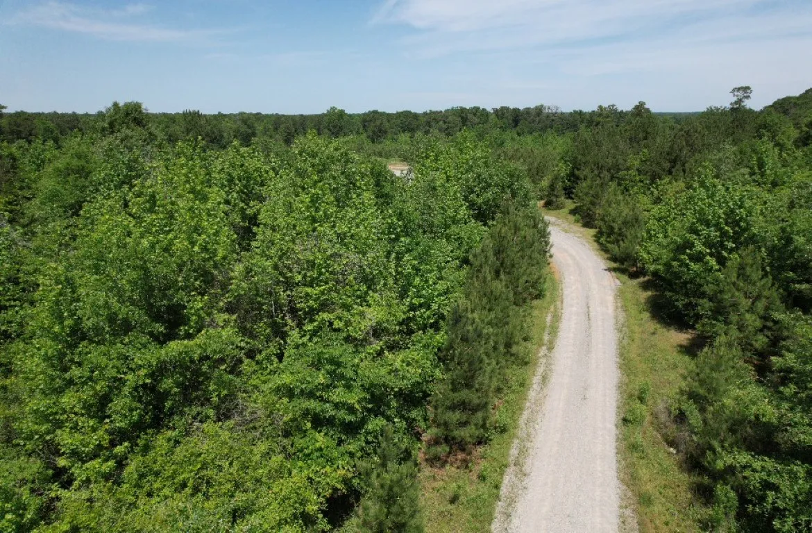Unimproved Land For Sale in Panola County , TBD County Road 432, Tenaha, Texas 75974, 0, 0, Garage spaces, 0 Sqft, built in 0, mls#20610723, Real Estate Agent in Tenaha, Homes For Sale in Panola county, Homes For Sale in Tenaha, Realtor in Tenaha Texas, Real Estate Brokerage Independent Realty Texas, Luminita Cordes Realtor