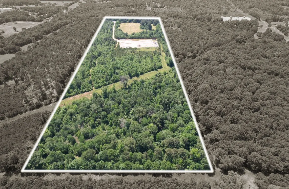 Unimproved Land For Sale in Panola County , TBD County Road 432, Tenaha, Texas 75974, 0, 0, Garage spaces, 0 Sqft, built in 0, mls#20610723, Real Estate Agent in Tenaha, Homes For Sale in Panola county, Homes For Sale in Tenaha, Realtor in Tenaha Texas, Real Estate Brokerage Independent Realty Texas, Luminita Cordes Realtor