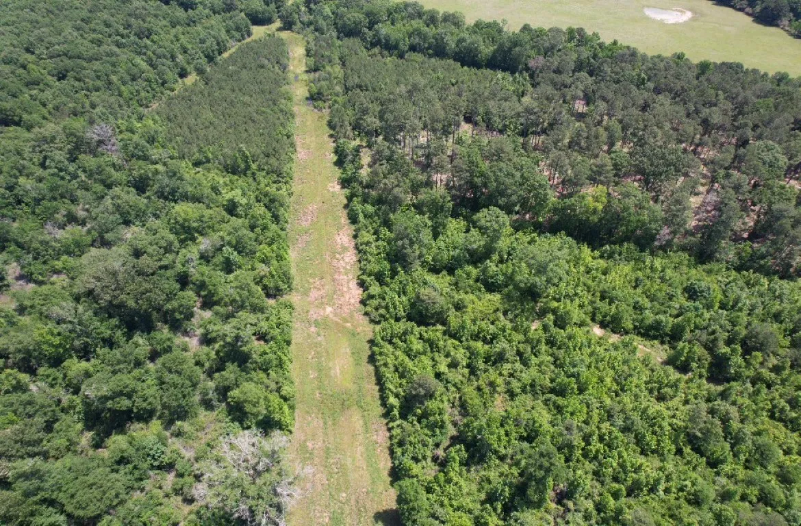 Unimproved Land For Sale in Panola County , TBD County Road 432, Tenaha, Texas 75974, 0, 0, Garage spaces, 0 Sqft, built in 0, mls#20610723, Real Estate Agent in Tenaha, Homes For Sale in Panola county, Homes For Sale in Tenaha, Realtor in Tenaha Texas, Real Estate Brokerage Independent Realty Texas, Luminita Cordes Realtor