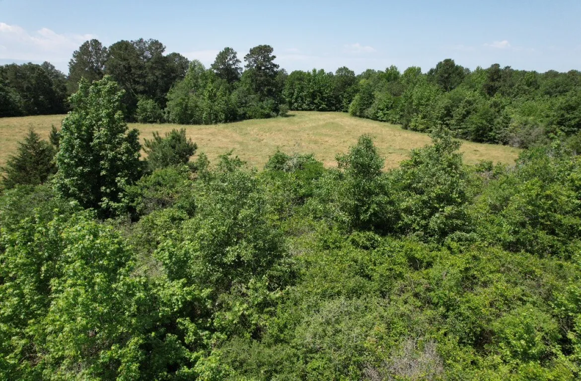 Unimproved Land For Sale in Panola County , TBD County Road 432, Tenaha, Texas 75974, 0, 0, Garage spaces, 0 Sqft, built in 0, mls#20610723, Real Estate Agent in Tenaha, Homes For Sale in Panola county, Homes For Sale in Tenaha, Realtor in Tenaha Texas, Real Estate Brokerage Independent Realty Texas, Luminita Cordes Realtor
