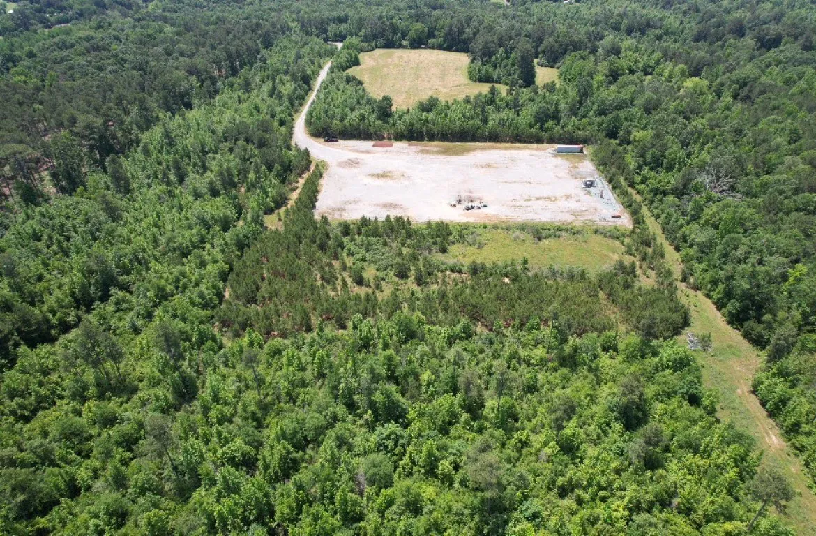 Unimproved Land For Sale in Panola County , TBD County Road 432, Tenaha, Texas 75974, 0, 0, Garage spaces, 0 Sqft, built in 0, mls#20610723, Real Estate Agent in Tenaha, Homes For Sale in Panola county, Homes For Sale in Tenaha, Realtor in Tenaha Texas, Real Estate Brokerage Independent Realty Texas, Luminita Cordes Realtor