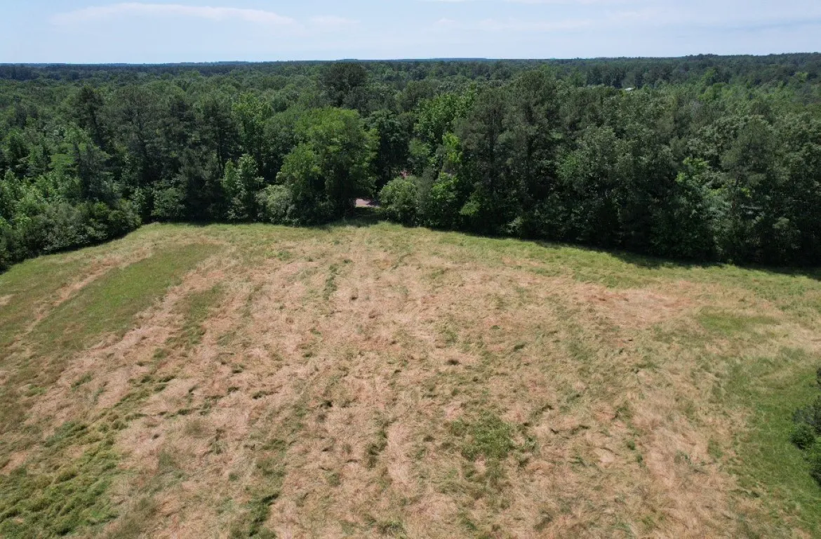 Unimproved Land For Sale in Panola County , TBD County Road 432, Tenaha, Texas 75974, 0, 0, Garage spaces, 0 Sqft, built in 0, mls#20610723, Real Estate Agent in Tenaha, Homes For Sale in Panola county, Homes For Sale in Tenaha, Realtor in Tenaha Texas, Real Estate Brokerage Independent Realty Texas, Luminita Cordes Realtor