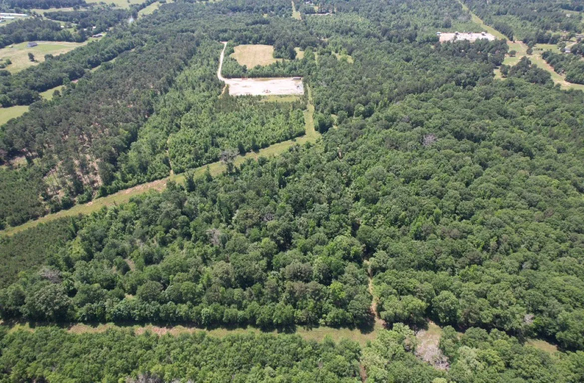Unimproved Land For Sale in Panola County , TBD County Road 432, Tenaha, Texas 75974, 0, 0, Garage spaces, 0 Sqft, built in 0, mls#20610723, Real Estate Agent in Tenaha, Homes For Sale in Panola county, Homes For Sale in Tenaha, Realtor in Tenaha Texas, Real Estate Brokerage Independent Realty Texas, Luminita Cordes Realtor