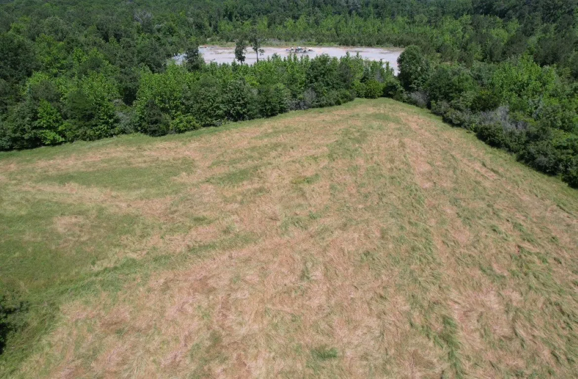 Unimproved Land For Sale in Panola County , TBD County Road 432, Tenaha, Texas 75974, 0, 0, Garage spaces, 0 Sqft, built in 0, mls#20610723, Real Estate Agent in Tenaha, Homes For Sale in Panola county, Homes For Sale in Tenaha, Realtor in Tenaha Texas, Real Estate Brokerage Independent Realty Texas, Luminita Cordes Realtor