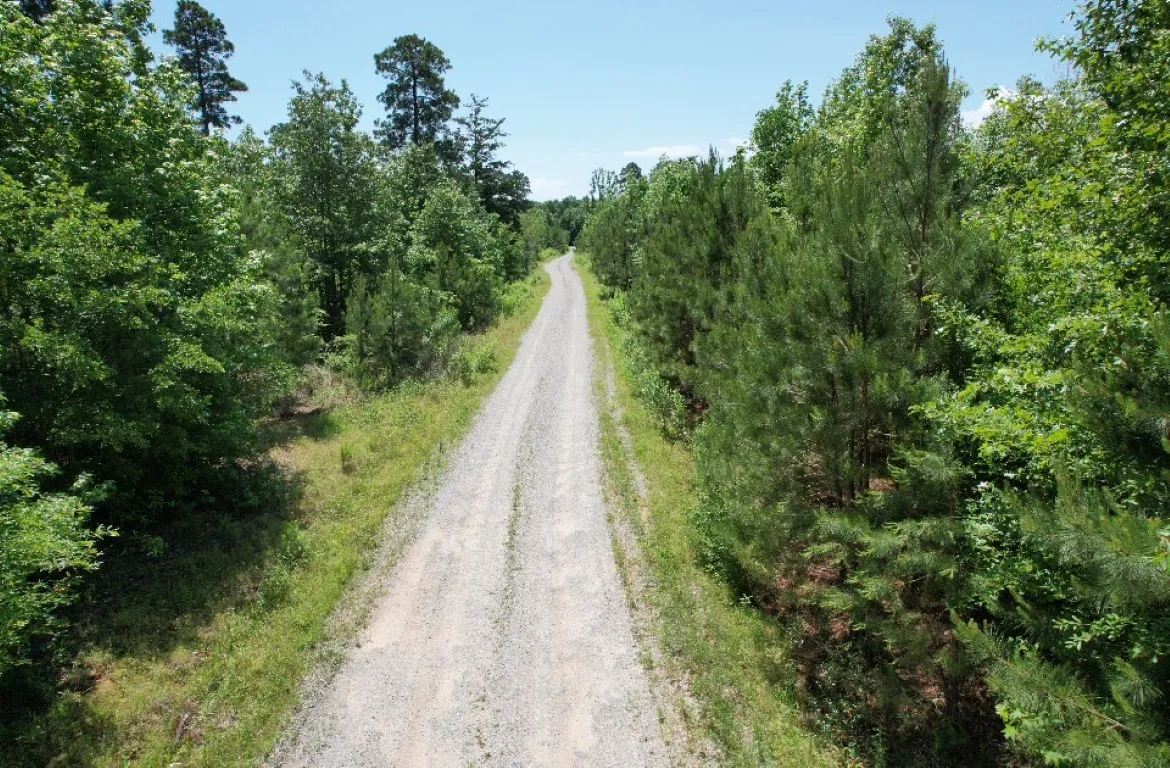 Unimproved Land For Sale in Panola County , TBD County Road 432, Tenaha, Texas 75974, 0, 0, Garage spaces, 0 Sqft, built in 0, mls#20610723, Real Estate Agent in Tenaha, Homes For Sale in Panola county, Homes For Sale in Tenaha, Realtor in Tenaha Texas, Real Estate Brokerage Independent Realty Texas, Luminita Cordes Realtor