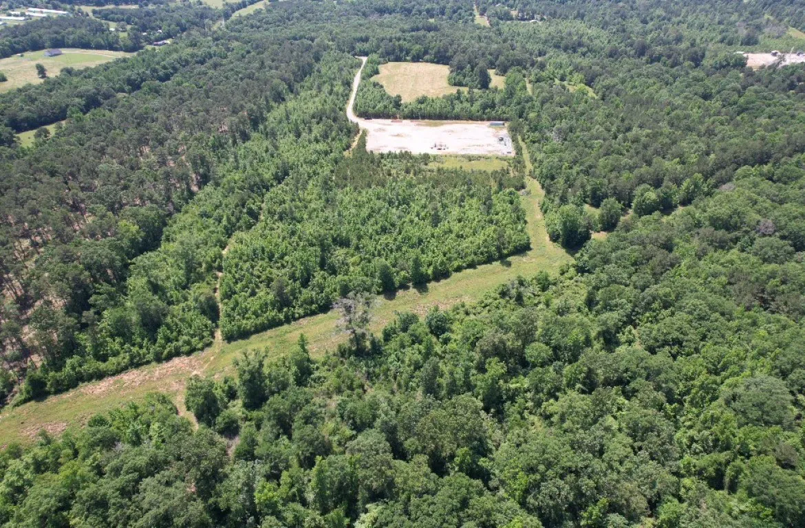 Unimproved Land For Sale in Panola County , TBD County Road 432, Tenaha, Texas 75974, 0, 0, Garage spaces, 0 Sqft, built in 0, mls#20610723, Real Estate Agent in Tenaha, Homes For Sale in Panola county, Homes For Sale in Tenaha, Realtor in Tenaha Texas, Real Estate Brokerage Independent Realty Texas, Luminita Cordes Realtor
