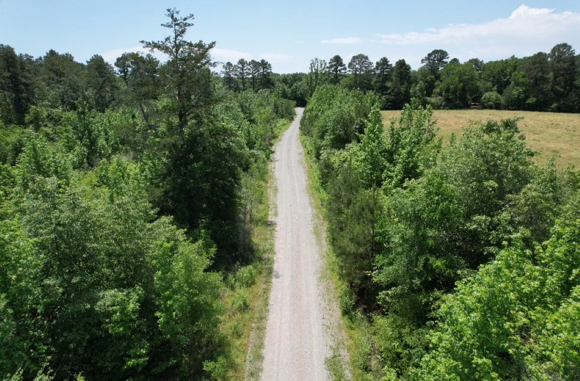 Unimproved Land For Sale in Panola County , TBD County Road 432, Tenaha, Texas 75974, 0, 0, Garage spaces, 0 Sqft, built in 0, mls#20610723, Real Estate Agent in Tenaha, Homes For Sale in Panola county, Homes For Sale in Tenaha, Realtor in Tenaha Texas, Real Estate Brokerage Independent Realty Texas, Luminita Cordes Realtor