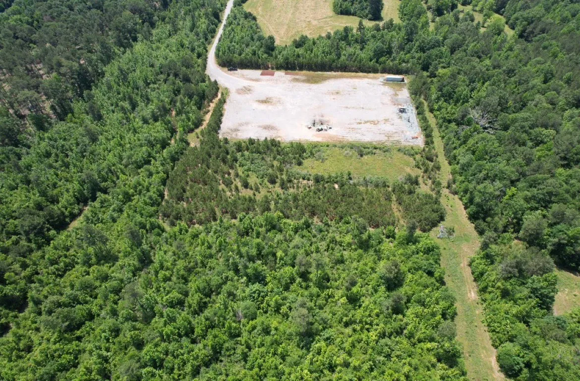 Unimproved Land For Sale in Panola County , TBD County Road 432, Tenaha, Texas 75974, 0, 0, Garage spaces, 0 Sqft, built in 0, mls#20610723, Real Estate Agent in Tenaha, Homes For Sale in Panola county, Homes For Sale in Tenaha, Realtor in Tenaha Texas, Real Estate Brokerage Independent Realty Texas, Luminita Cordes Realtor