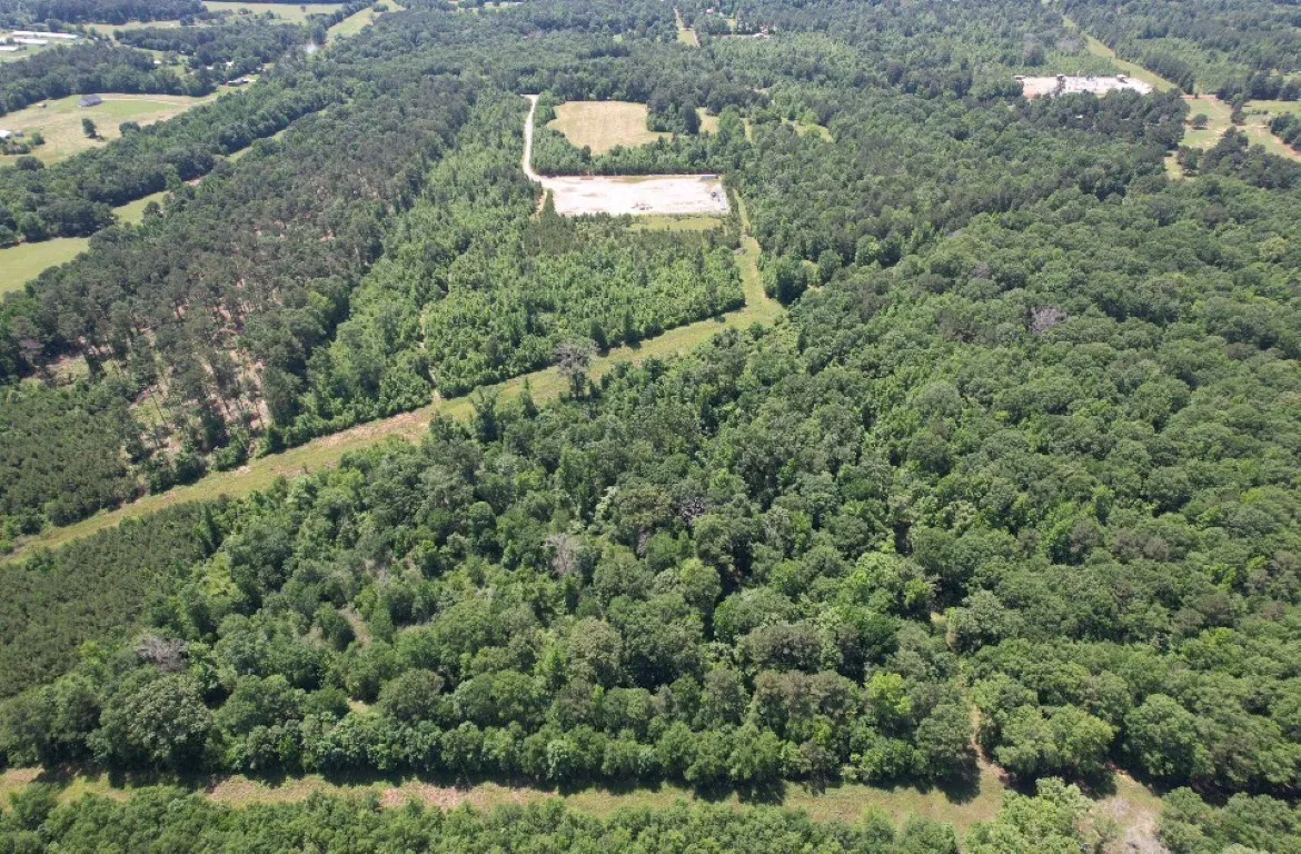 Unimproved Land For Sale in Panola County , TBD County Road 432, Tenaha, Texas 75974, 0, 0, Garage spaces, 0 Sqft, built in 0, mls#20610723, Real Estate Agent in Tenaha, Homes For Sale in Panola county, Homes For Sale in Tenaha, Realtor in Tenaha Texas, Real Estate Brokerage Independent Realty Texas, Luminita Cordes Realtor