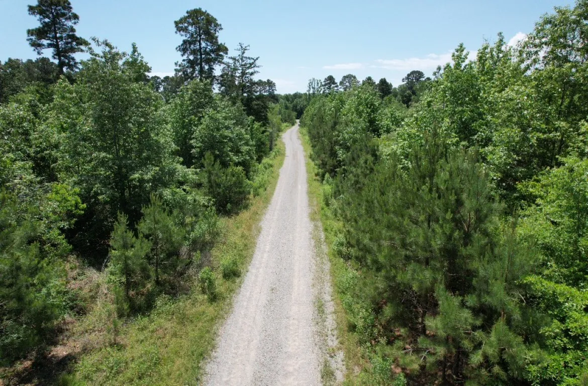Unimproved Land For Sale in Panola County , TBD County Road 432, Tenaha, Texas 75974, 0, 0, Garage spaces, 0 Sqft, built in 0, mls#20610723, Real Estate Agent in Tenaha, Homes For Sale in Panola county, Homes For Sale in Tenaha, Realtor in Tenaha Texas, Real Estate Brokerage Independent Realty Texas, Luminita Cordes Realtor