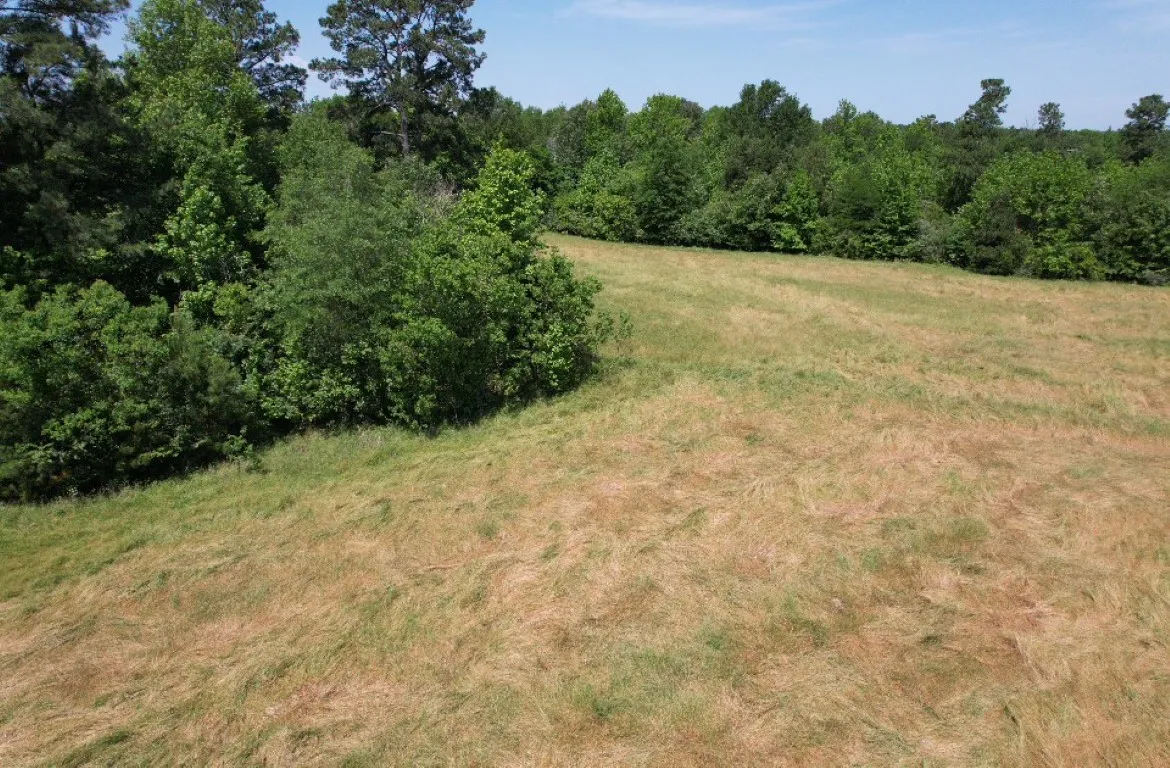 Unimproved Land For Sale in Panola County , TBD County Road 432, Tenaha, Texas 75974, 0, 0, Garage spaces, 0 Sqft, built in 0, mls#20610723, Real Estate Agent in Tenaha, Homes For Sale in Panola county, Homes For Sale in Tenaha, Realtor in Tenaha Texas, Real Estate Brokerage Independent Realty Texas, Luminita Cordes Realtor
