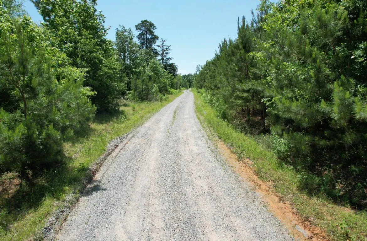 Unimproved Land For Sale in Panola County , TBD County Road 432, Tenaha, Texas 75974, 0, 0, Garage spaces, 0 Sqft, built in 0, mls#20610723, Real Estate Agent in Tenaha, Homes For Sale in Panola county, Homes For Sale in Tenaha, Realtor in Tenaha Texas, Real Estate Brokerage Independent Realty Texas, Luminita Cordes Realtor