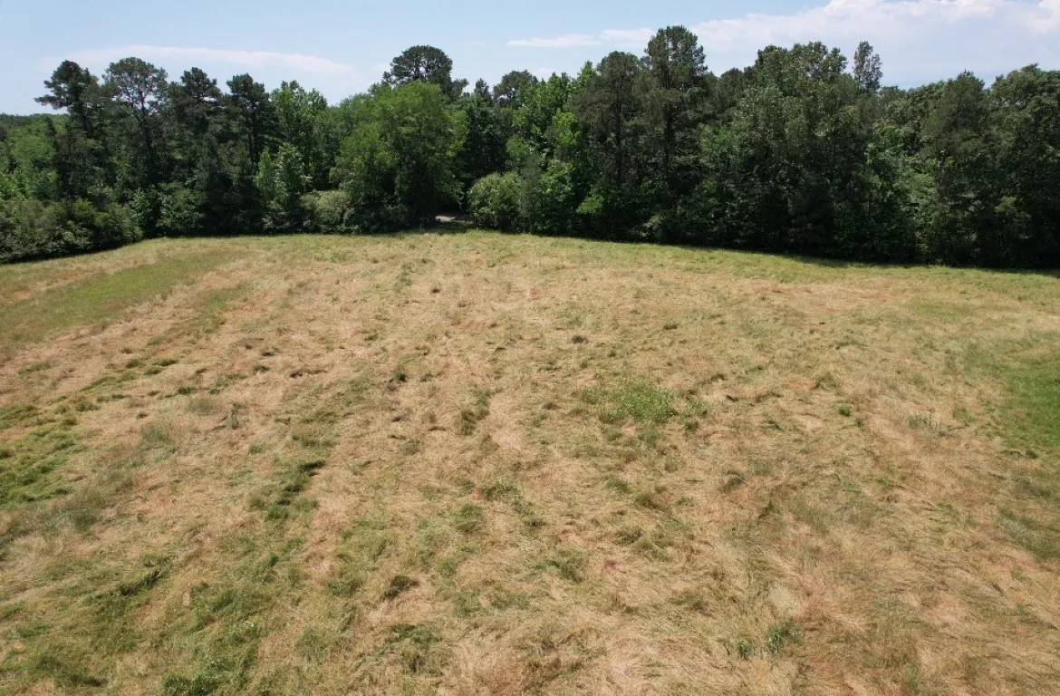 Unimproved Land For Sale in Panola County , TBD County Road 432, Tenaha, Texas 75974, 0, 0, Garage spaces, 0 Sqft, built in 0, mls#20610723, Real Estate Agent in Tenaha, Homes For Sale in Panola county, Homes For Sale in Tenaha, Realtor in Tenaha Texas, Real Estate Brokerage Independent Realty Texas, Luminita Cordes Realtor