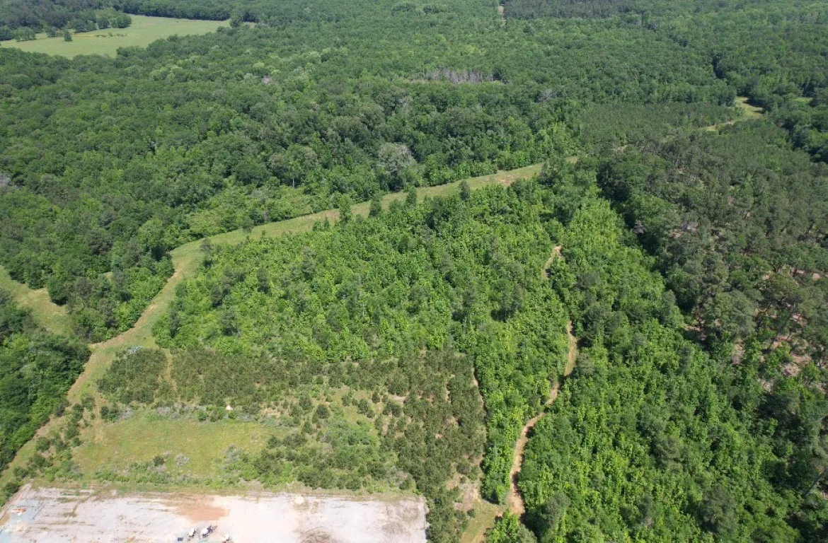Unimproved Land For Sale in Panola County , TBD County Road 432, Tenaha, Texas 75974, 0, 0, Garage spaces, 0 Sqft, built in 0, mls#20610723, Real Estate Agent in Tenaha, Homes For Sale in Panola county, Homes For Sale in Tenaha, Realtor in Tenaha Texas, Real Estate Brokerage Independent Realty Texas, Luminita Cordes Realtor