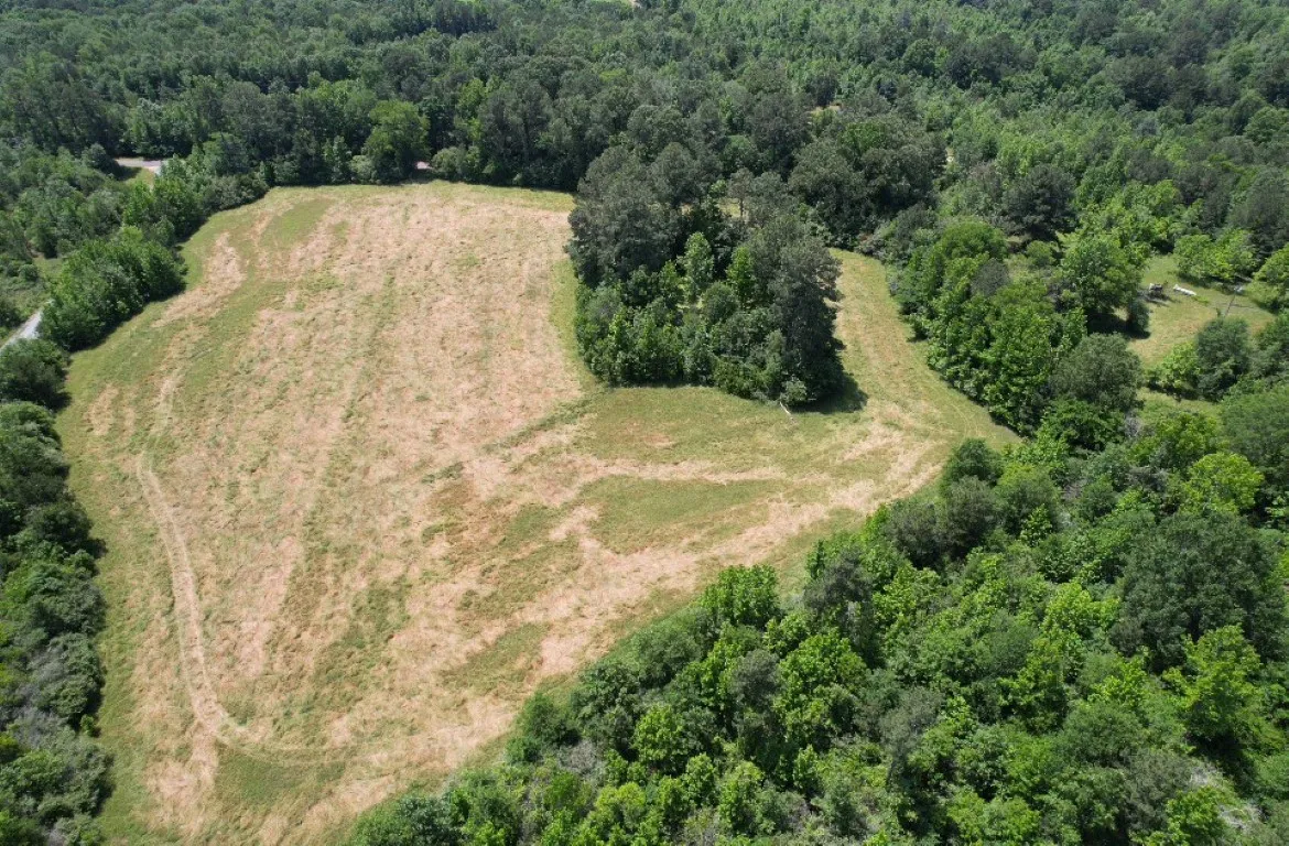 Unimproved Land For Sale in Panola County , TBD County Road 432, Tenaha, Texas 75974, 0, 0, Garage spaces, 0 Sqft, built in 0, mls#20610723, Real Estate Agent in Tenaha, Homes For Sale in Panola county, Homes For Sale in Tenaha, Realtor in Tenaha Texas, Real Estate Brokerage Independent Realty Texas, Luminita Cordes Realtor