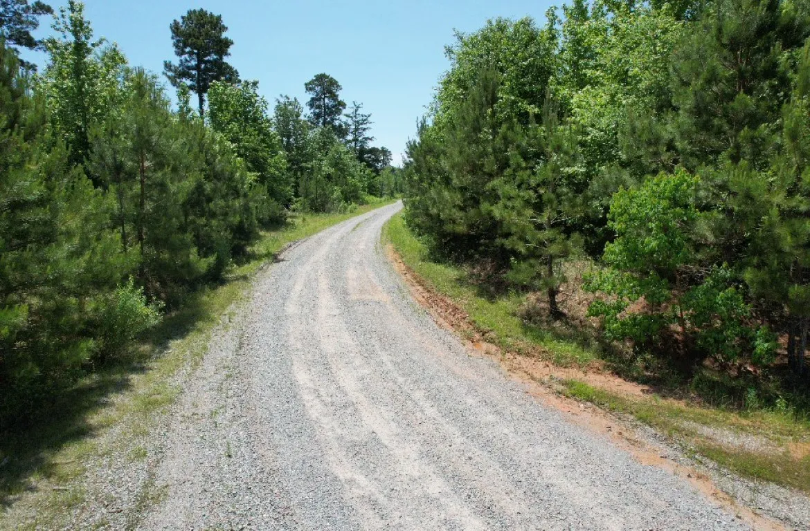 Unimproved Land For Sale in Panola County , TBD County Road 432, Tenaha, Texas 75974, 0, 0, Garage spaces, 0 Sqft, built in 0, mls#20610723, Real Estate Agent in Tenaha, Homes For Sale in Panola county, Homes For Sale in Tenaha, Realtor in Tenaha Texas, Real Estate Brokerage Independent Realty Texas, Luminita Cordes Realtor