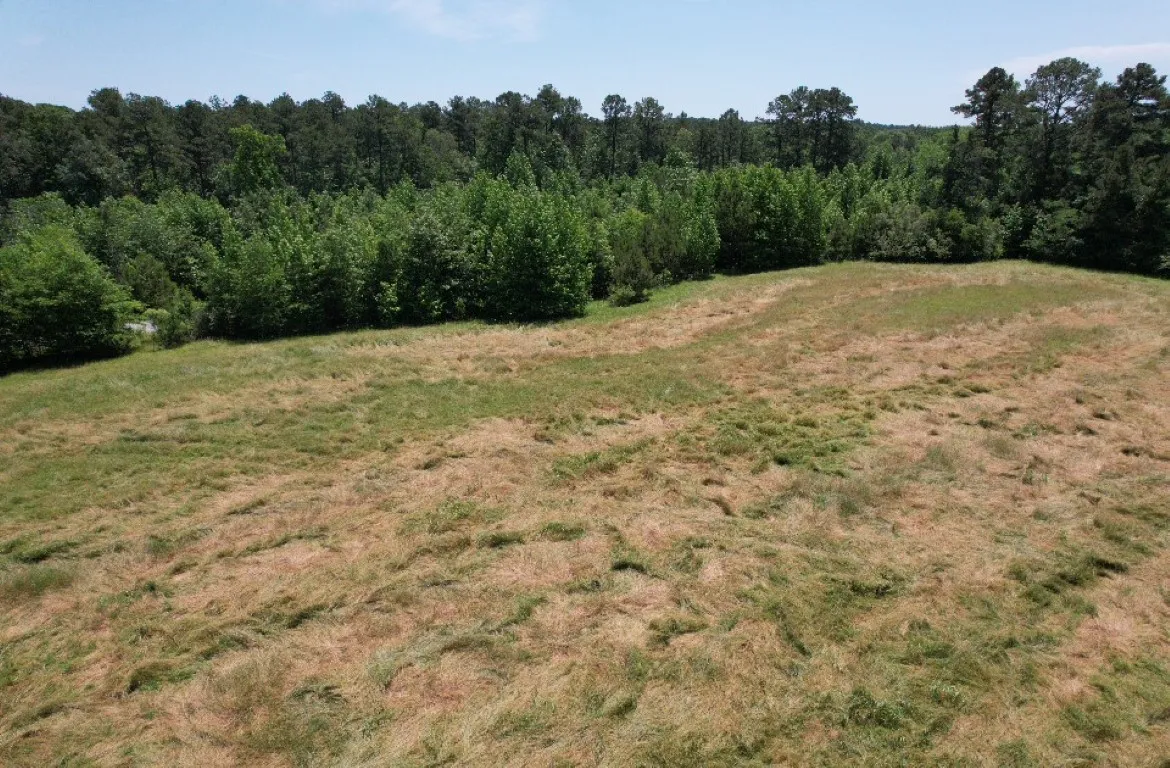 Unimproved Land For Sale in Panola County , TBD County Road 432, Tenaha, Texas 75974, 0, 0, Garage spaces, 0 Sqft, built in 0, mls#20610723, Real Estate Agent in Tenaha, Homes For Sale in Panola county, Homes For Sale in Tenaha, Realtor in Tenaha Texas, Real Estate Brokerage Independent Realty Texas, Luminita Cordes Realtor