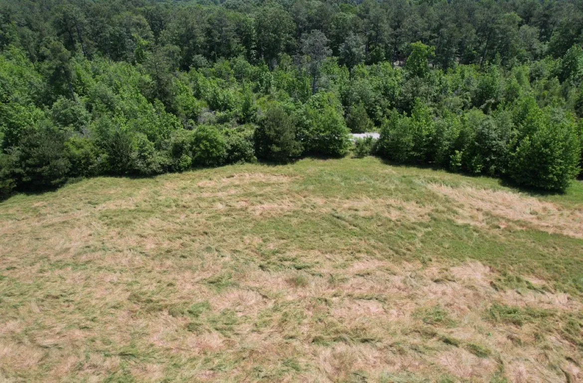 Unimproved Land For Sale in Panola County , TBD County Road 432, Tenaha, Texas 75974, 0, 0, Garage spaces, 0 Sqft, built in 0, mls#20610723, Real Estate Agent in Tenaha, Homes For Sale in Panola county, Homes For Sale in Tenaha, Realtor in Tenaha Texas, Real Estate Brokerage Independent Realty Texas, Luminita Cordes Realtor
