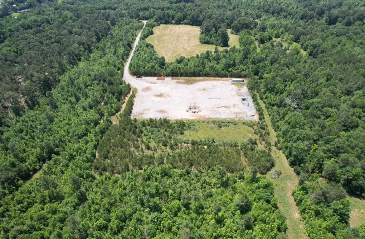 Unimproved Land For Sale in Panola County , TBD County Road 432, Tenaha, Texas 75974, 0, 0, Garage spaces, 0 Sqft, built in 0, mls#20610723, Real Estate Agent in Tenaha, Homes For Sale in Panola county, Homes For Sale in Tenaha, Realtor in Tenaha Texas, Real Estate Brokerage Independent Realty Texas, Luminita Cordes Realtor