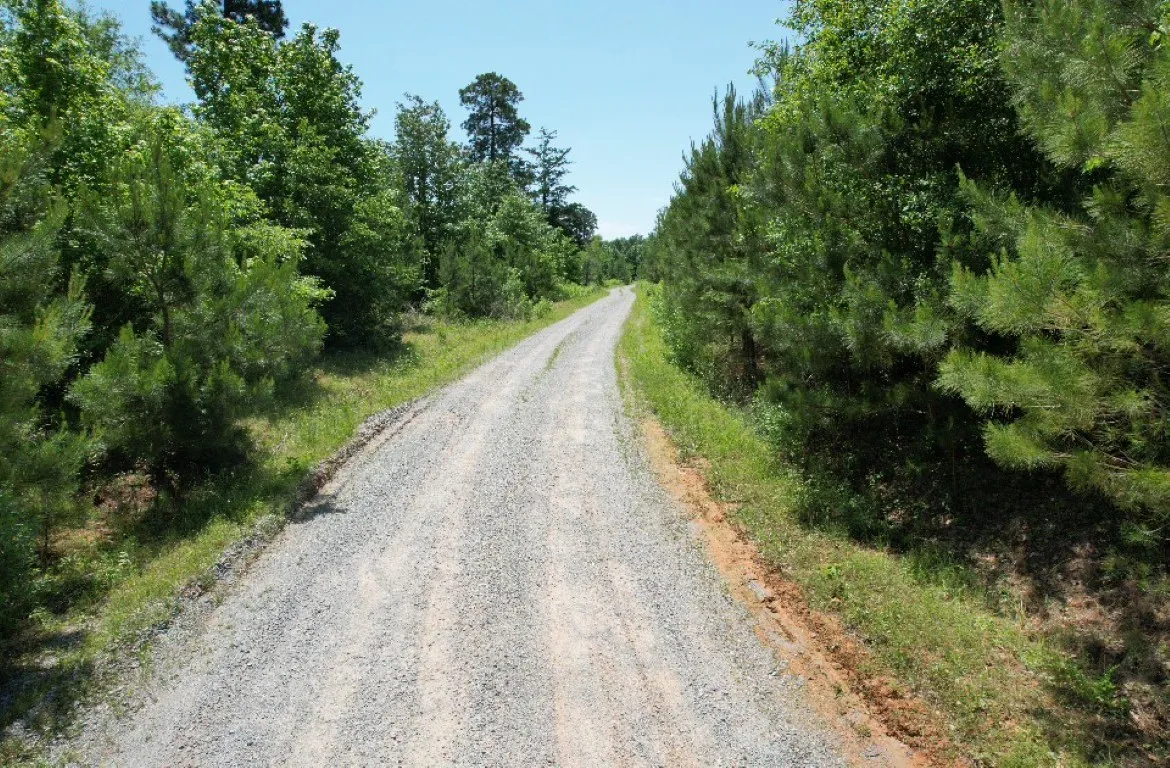 Unimproved Land For Sale in Panola County , TBD County Road 432, Tenaha, Texas 75974, 0, 0, Garage spaces, 0 Sqft, built in 0, mls#20610723, Real Estate Agent in Tenaha, Homes For Sale in Panola county, Homes For Sale in Tenaha, Realtor in Tenaha Texas, Real Estate Brokerage Independent Realty Texas, Luminita Cordes Realtor