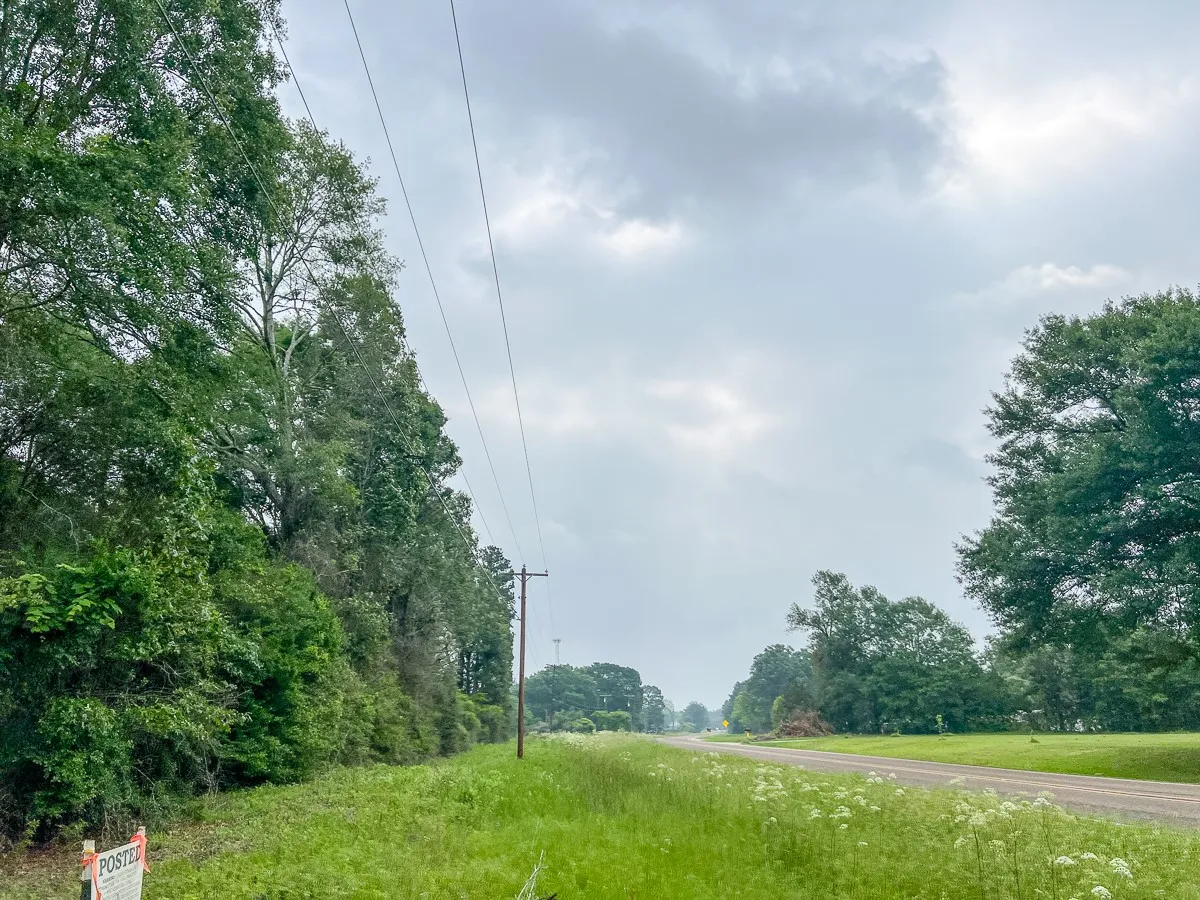 View of street