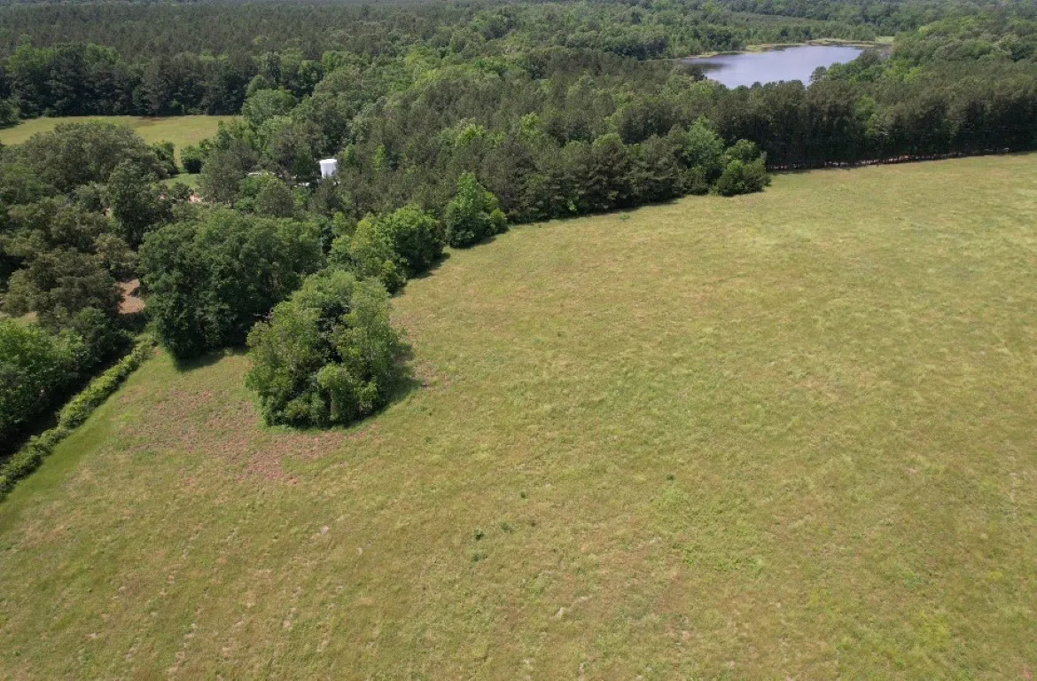 Unimproved Land For Sale in Shelby County , TBD-C County Road 4653, Tenaha, Texas 75974, 0, 0, Garage spaces, 0 Sqft, built in 0, mls#20614285, Real Estate Agent in Tenaha, Homes For Sale in Shelby county, Homes For Sale in Tenaha, Realtor in Tenaha Texas, Real Estate Brokerage Independent Realty Texas, Luminita Cordes Realtor