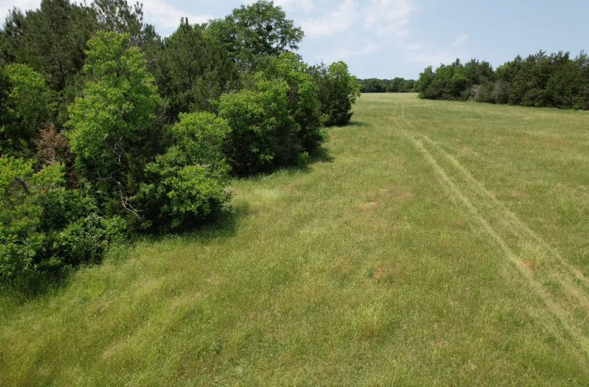 Unimproved Land For Sale in Shelby County , TBD-C County Road 4653, Tenaha, Texas 75974, 0, 0, Garage spaces, 0 Sqft, built in 0, mls#20614285, Real Estate Agent in Tenaha, Homes For Sale in Shelby county, Homes For Sale in Tenaha, Realtor in Tenaha Texas, Real Estate Brokerage Independent Realty Texas, Luminita Cordes Realtor