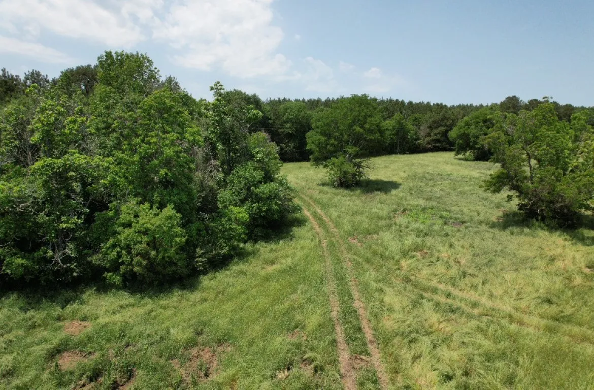 Unimproved Land For Sale in Shelby County , TBD-C County Road 4653, Tenaha, Texas 75974, 0, 0, Garage spaces, 0 Sqft, built in 0, mls#20614285, Real Estate Agent in Tenaha, Homes For Sale in Shelby county, Homes For Sale in Tenaha, Realtor in Tenaha Texas, Real Estate Brokerage Independent Realty Texas, Luminita Cordes Realtor