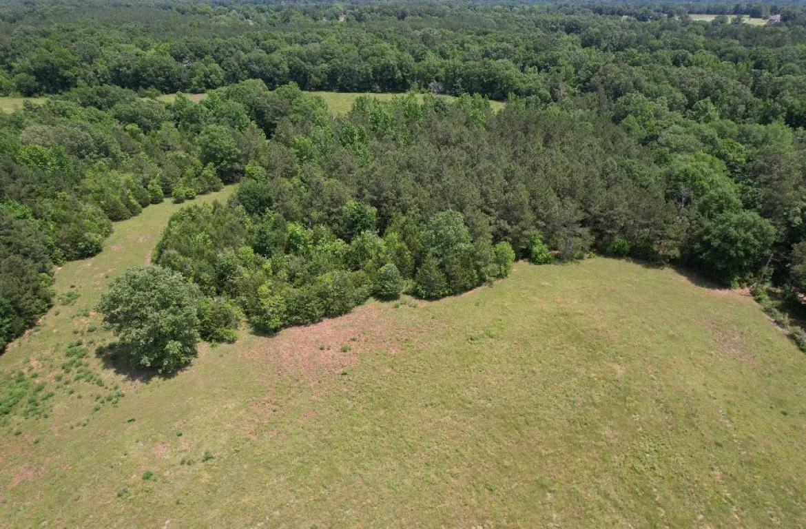Unimproved Land For Sale in Shelby County , TBD-C County Road 4653, Tenaha, Texas 75974, 0, 0, Garage spaces, 0 Sqft, built in 0, mls#20614285, Real Estate Agent in Tenaha, Homes For Sale in Shelby county, Homes For Sale in Tenaha, Realtor in Tenaha Texas, Real Estate Brokerage Independent Realty Texas, Luminita Cordes Realtor
