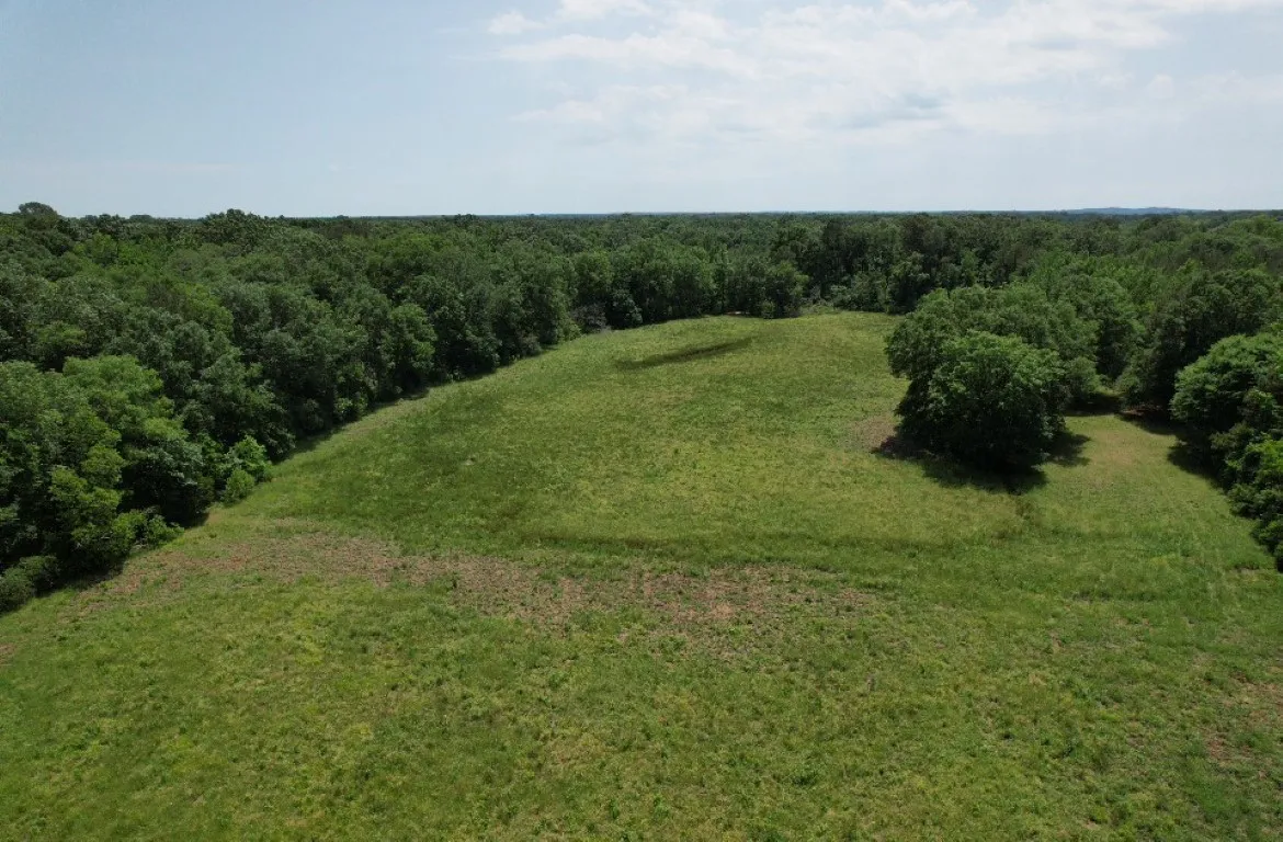 Unimproved Land For Sale in Shelby County , TBD-C County Road 4653, Tenaha, Texas 75974, 0, 0, Garage spaces, 0 Sqft, built in 0, mls#20614285, Real Estate Agent in Tenaha, Homes For Sale in Shelby county, Homes For Sale in Tenaha, Realtor in Tenaha Texas, Real Estate Brokerage Independent Realty Texas, Luminita Cordes Realtor