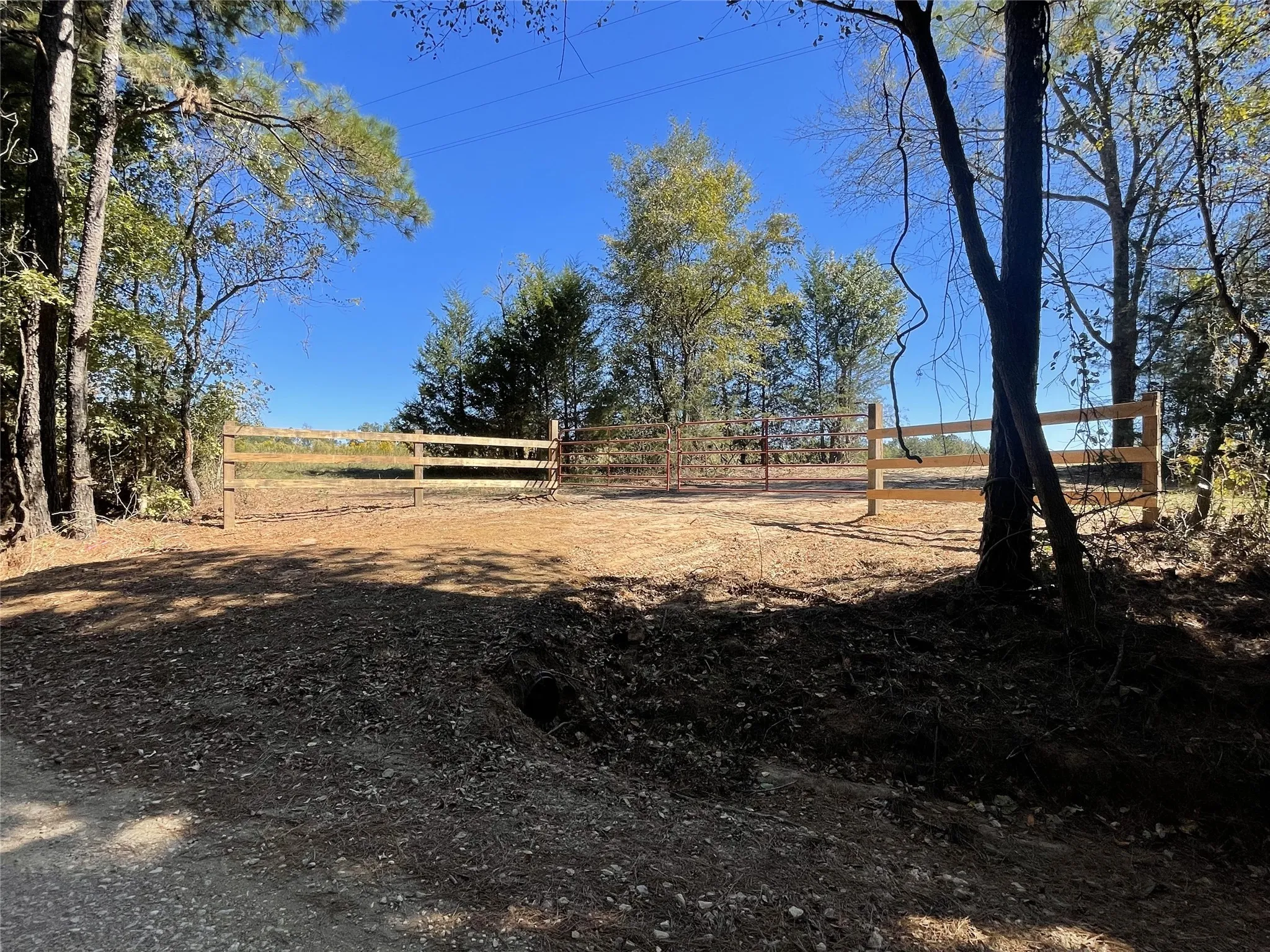 Unimproved Land For Sale in Shelby County , TBD-C County Road 4653, Tenaha, Texas 75974, 0, 0, Garage spaces, 0 Sqft, built in 0, mls#20614285, Real Estate Agent in Tenaha, Homes For Sale in Shelby county, Homes For Sale in Tenaha, Realtor in Tenaha Texas, Real Estate Brokerage Independent Realty Texas, Luminita Cordes Realtor