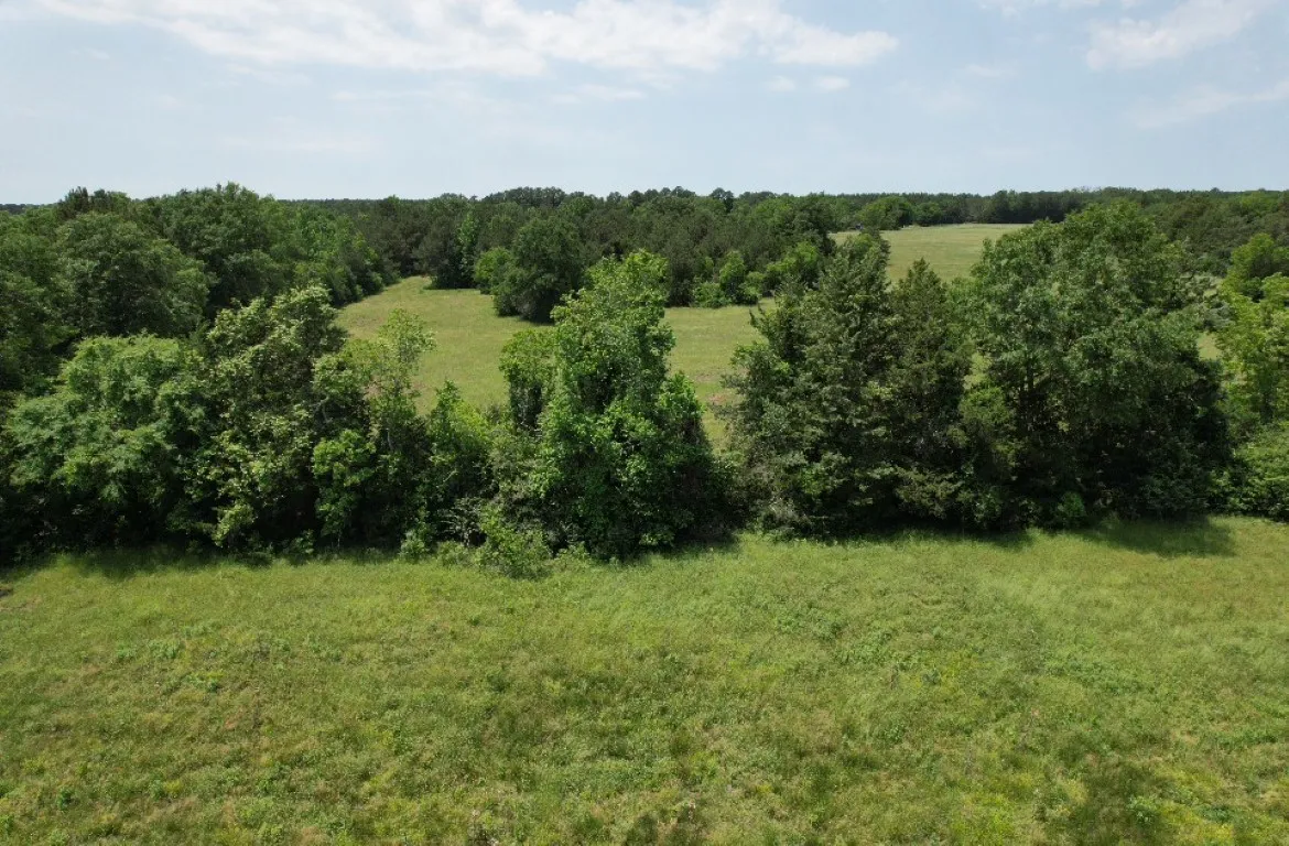 Unimproved Land For Sale in Shelby County , TBD-C County Road 4653, Tenaha, Texas 75974, 0, 0, Garage spaces, 0 Sqft, built in 0, mls#20614285, Real Estate Agent in Tenaha, Homes For Sale in Shelby county, Homes For Sale in Tenaha, Realtor in Tenaha Texas, Real Estate Brokerage Independent Realty Texas, Luminita Cordes Realtor
