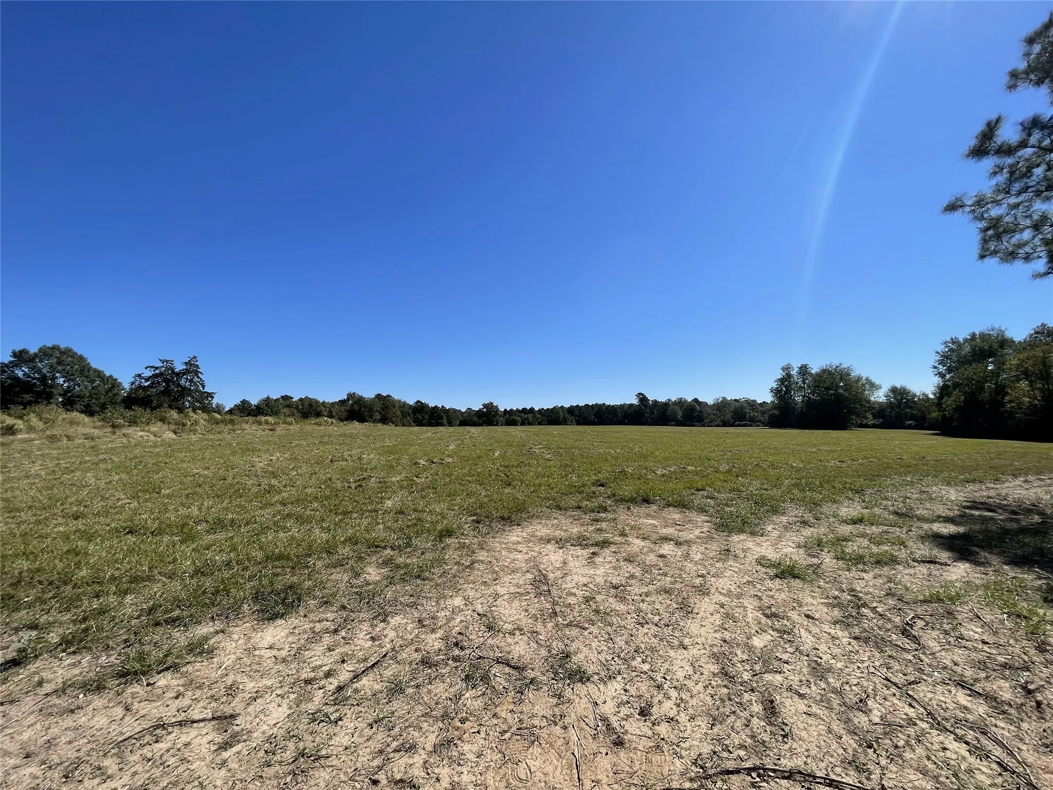Unimproved Land For Sale in Shelby County , TBD-C County Road 4653, Tenaha, Texas 75974, 0, 0, Garage spaces, 0 Sqft, built in 0, mls#20614285, Real Estate Agent in Tenaha, Homes For Sale in Shelby county, Homes For Sale in Tenaha, Realtor in Tenaha Texas, Real Estate Brokerage Independent Realty Texas, Luminita Cordes Realtor