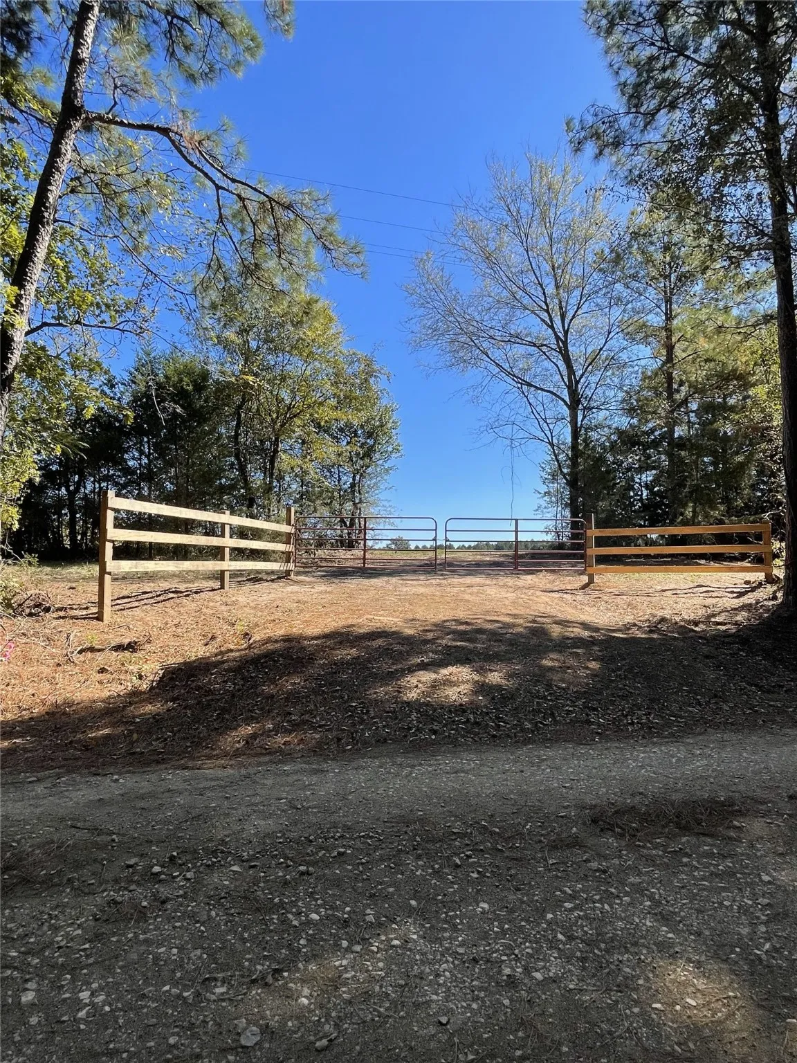 Unimproved Land For Sale in Shelby County , TBD-C County Road 4653, Tenaha, Texas 75974, 0, 0, Garage spaces, 0 Sqft, built in 0, mls#20614285, Real Estate Agent in Tenaha, Homes For Sale in Shelby county, Homes For Sale in Tenaha, Realtor in Tenaha Texas, Real Estate Brokerage Independent Realty Texas, Luminita Cordes Realtor