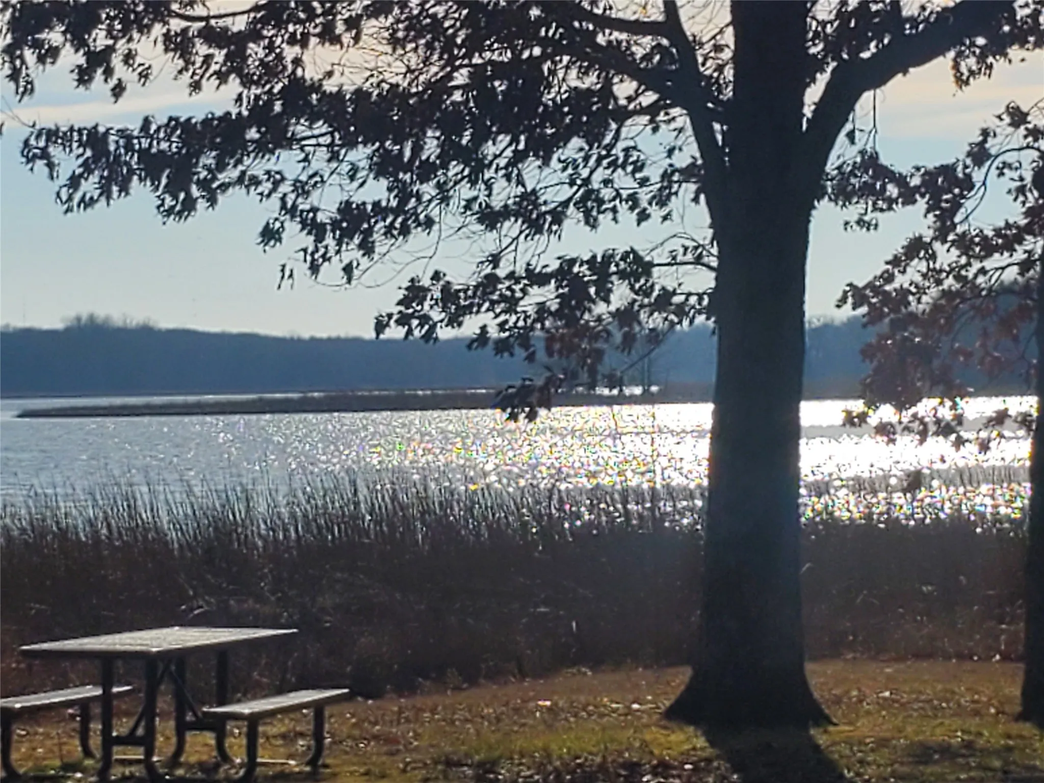 Lake Crockett camping/picnic area.