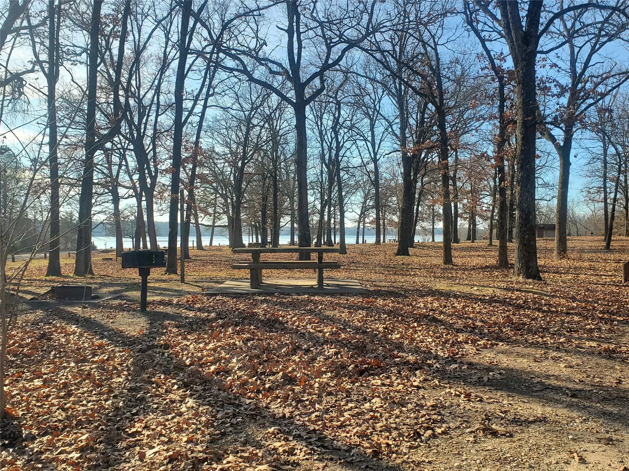 Coffee Mill Lake camping/picnic area.